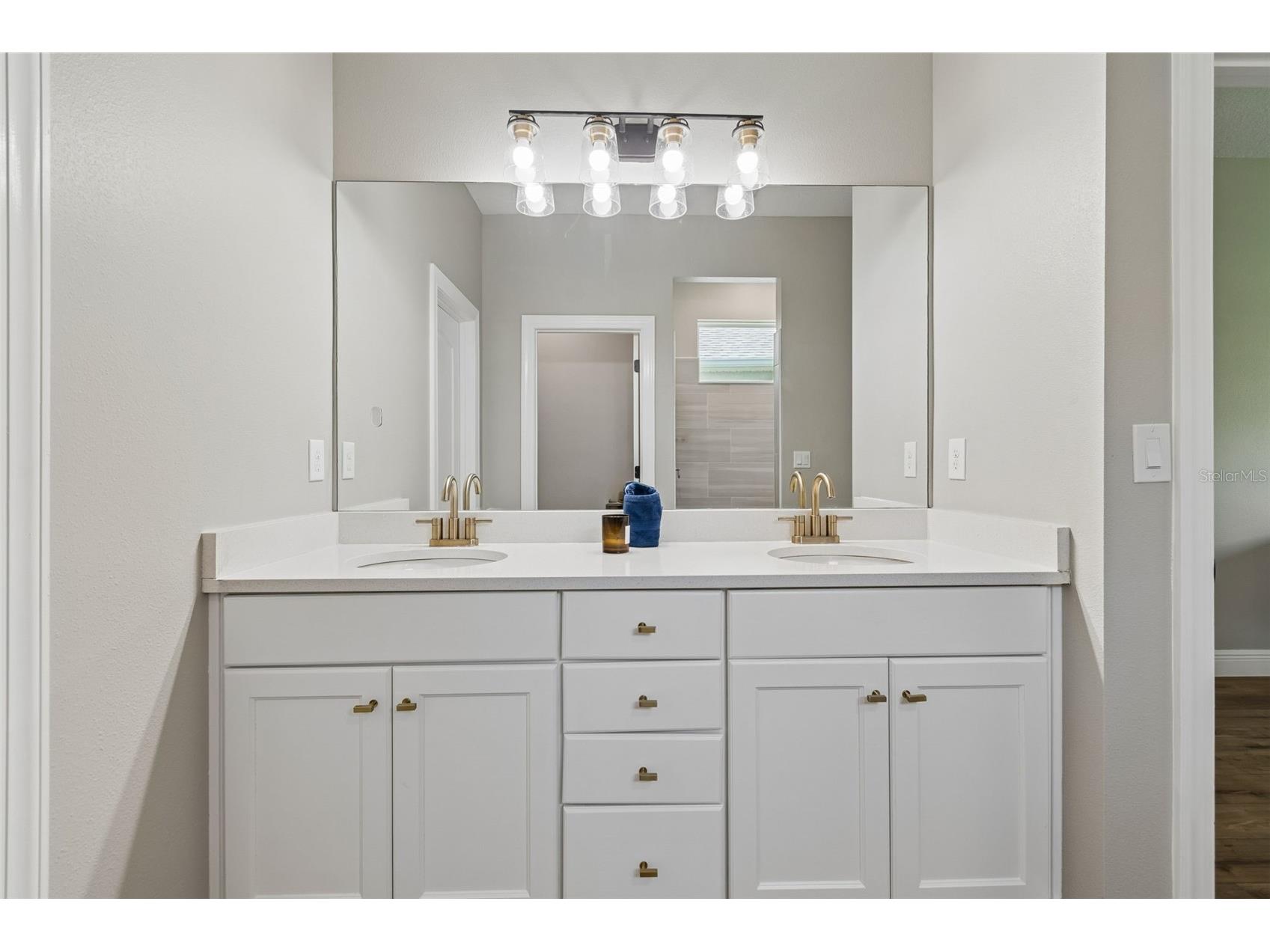 5619 Silver Sun Drive Apollo Beach FL 33572 TB8507011 image43