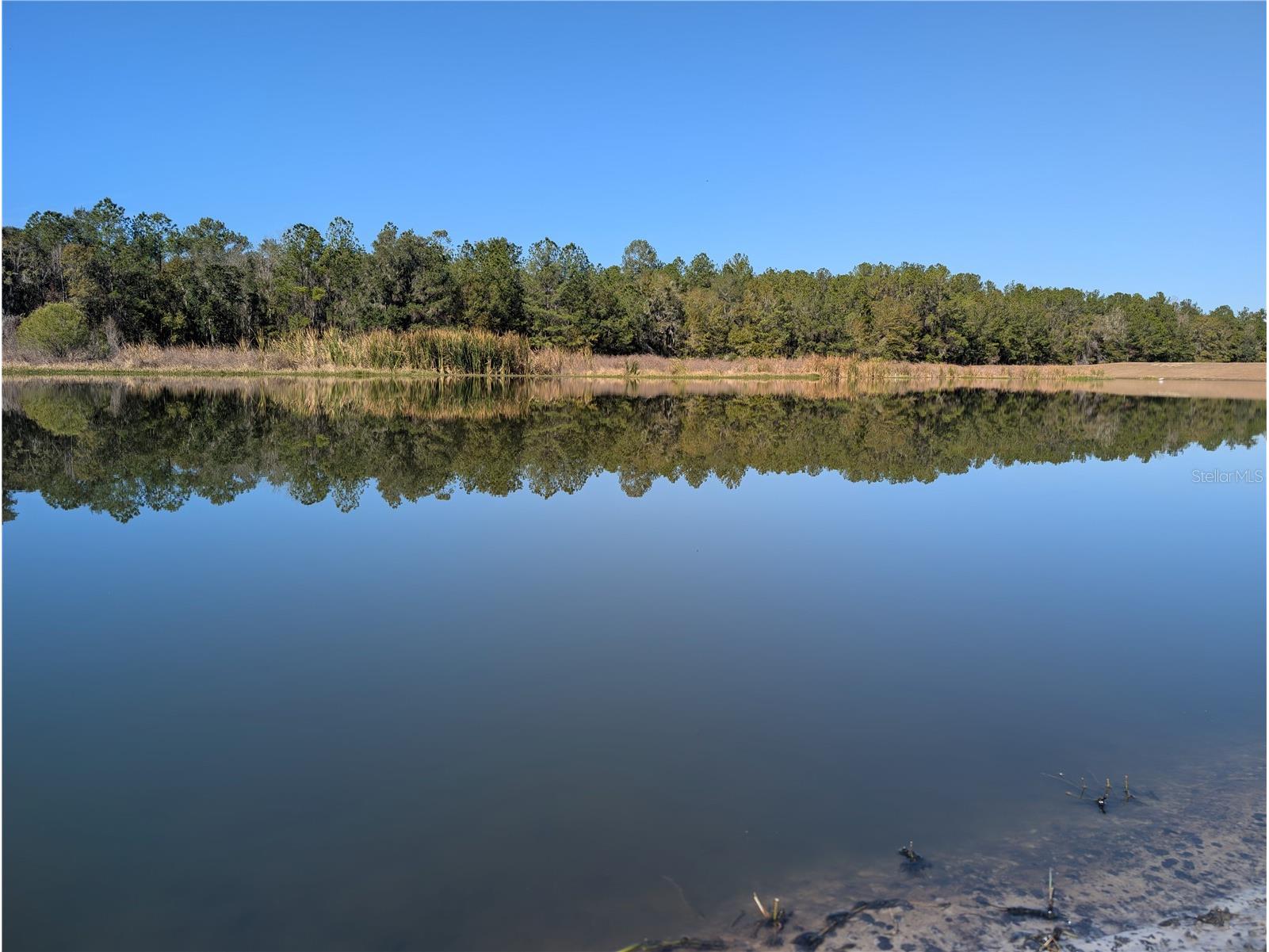 5619 Summit View Drive Brooksville FL 34601 TB8494782 image19