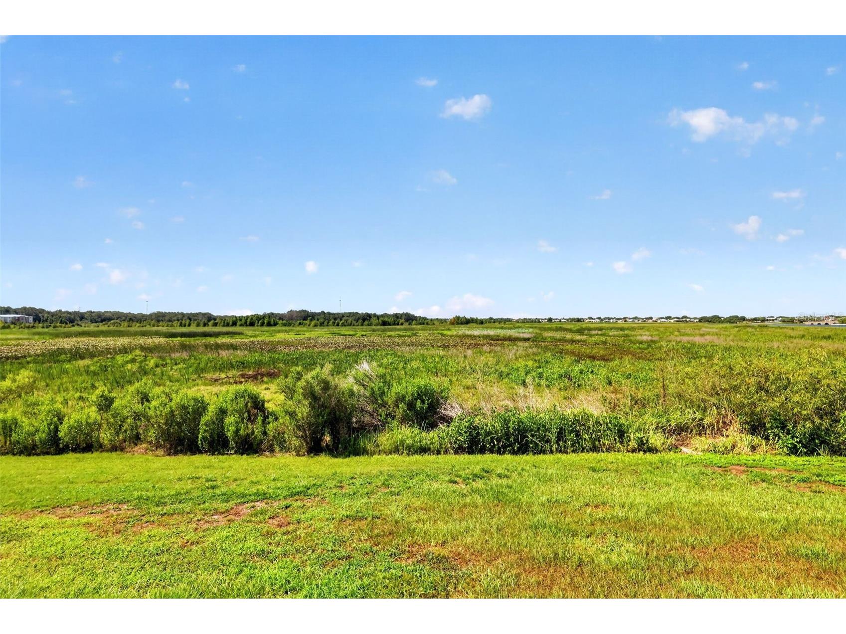 562 Avecilla Drive The Villages FL 32162 G5114402 image2