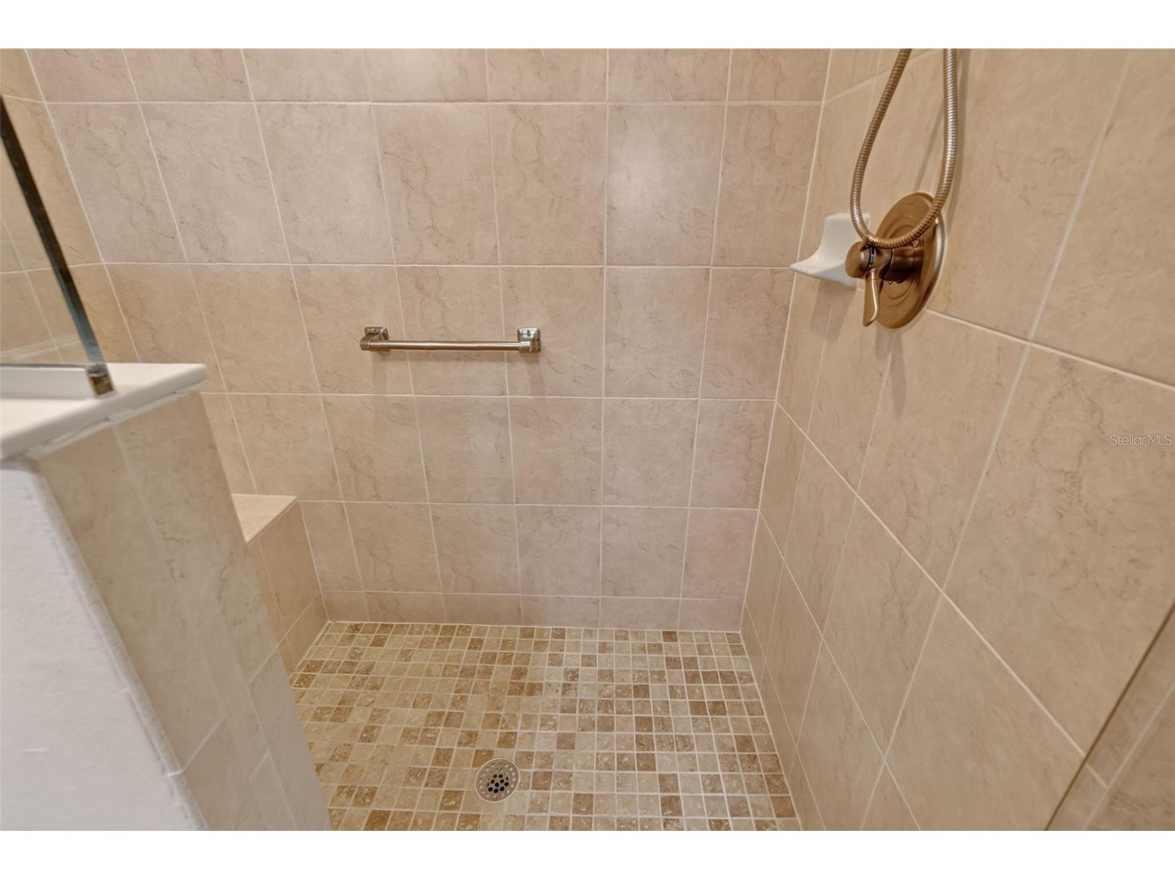 562 Avecilla Drive The Villages FL 32162 G5114402 image25