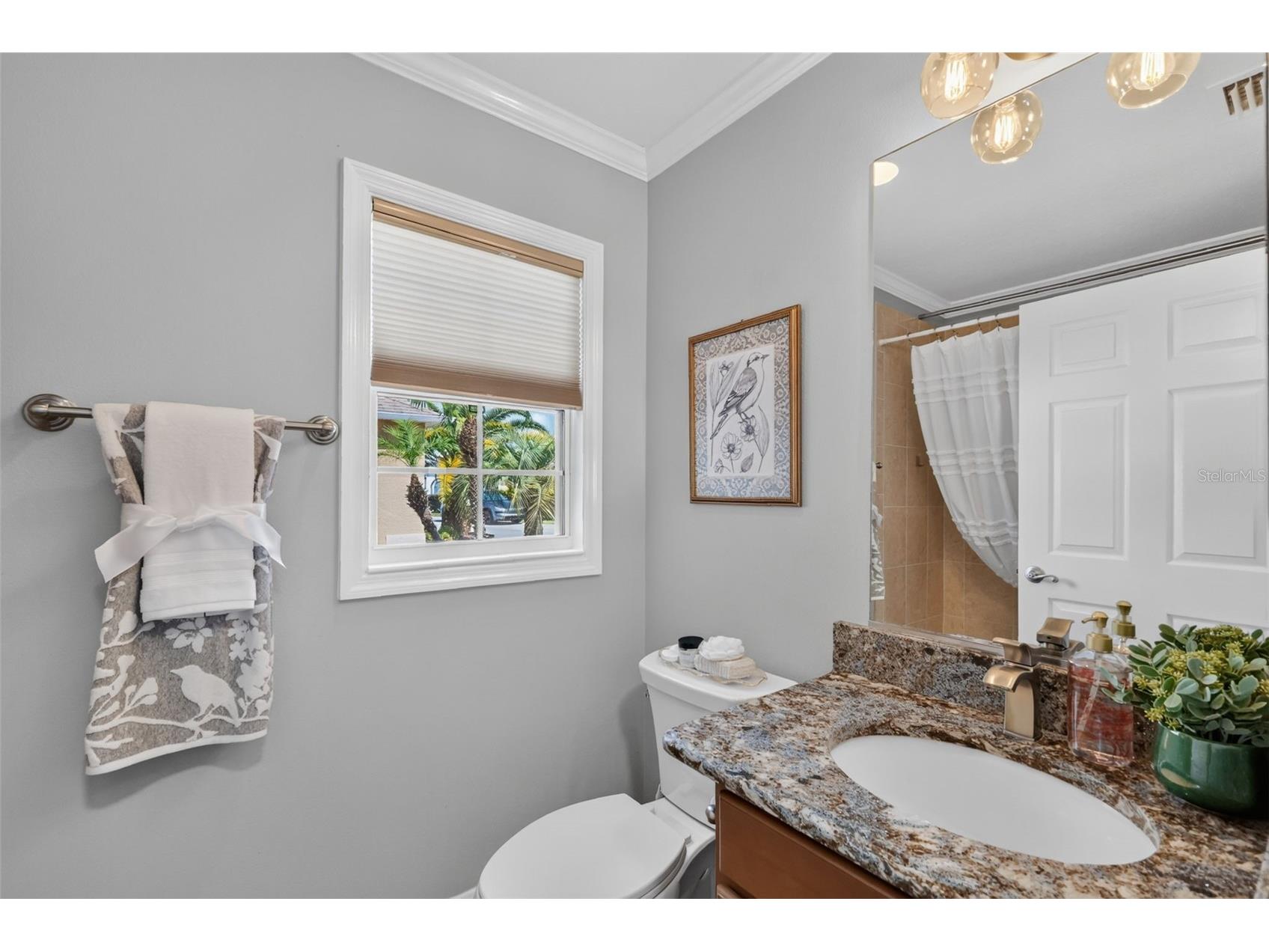562 Avecilla Drive The Villages FL 32162 G5114402 image29
