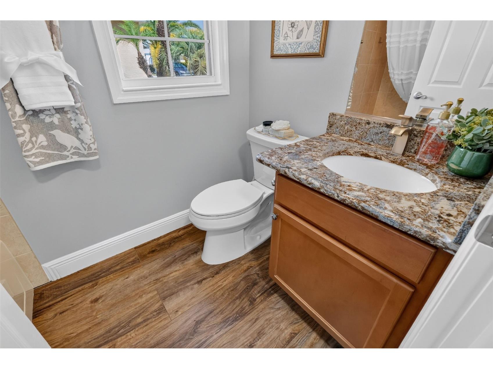 562 Avecilla Drive The Villages FL 32162 G5114402 image30