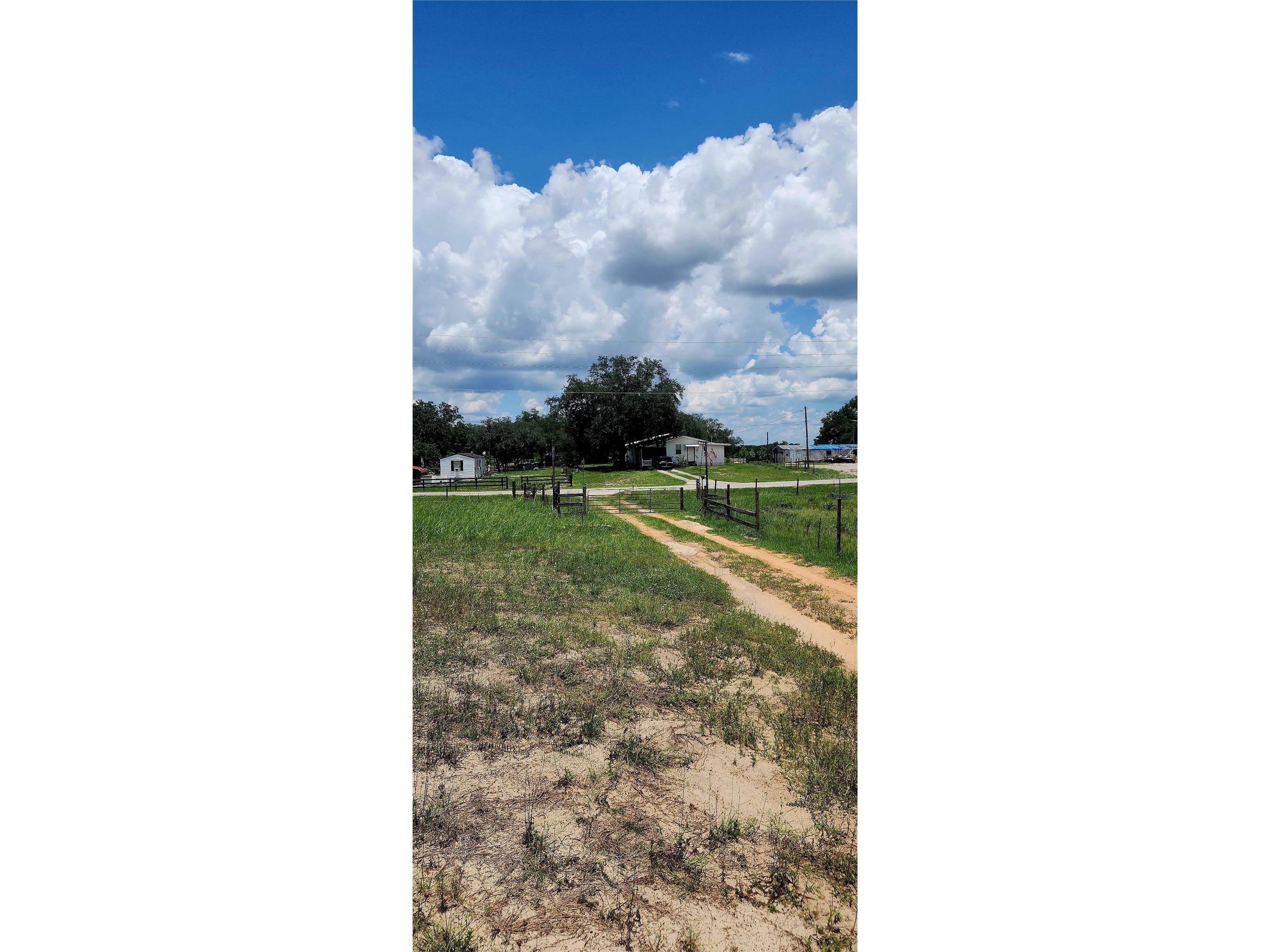 562 Libby Road Babson Park FL 33827 P4939223 image12