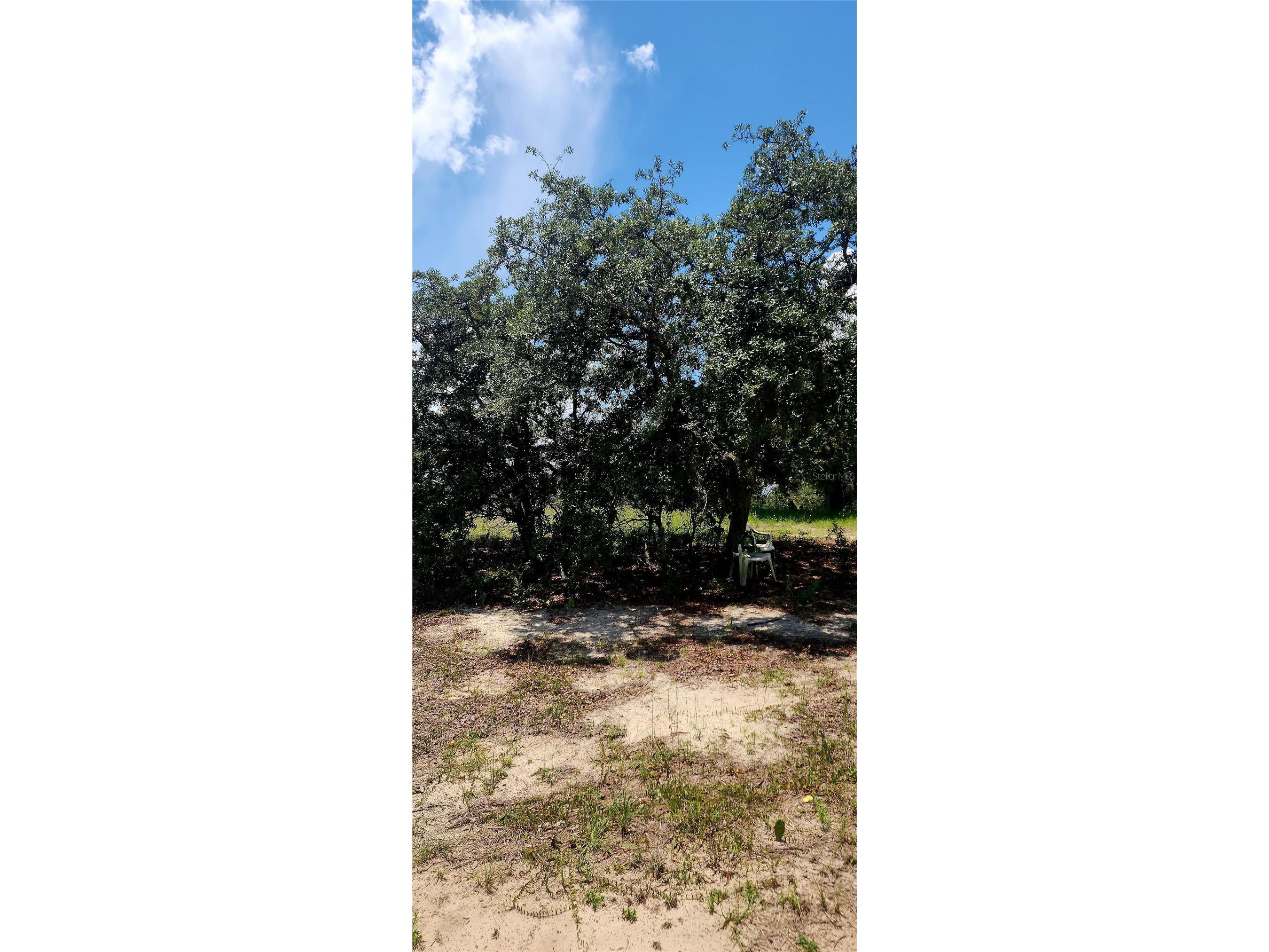 562 Libby Road Babson Park FL 33827 P4939223 image24