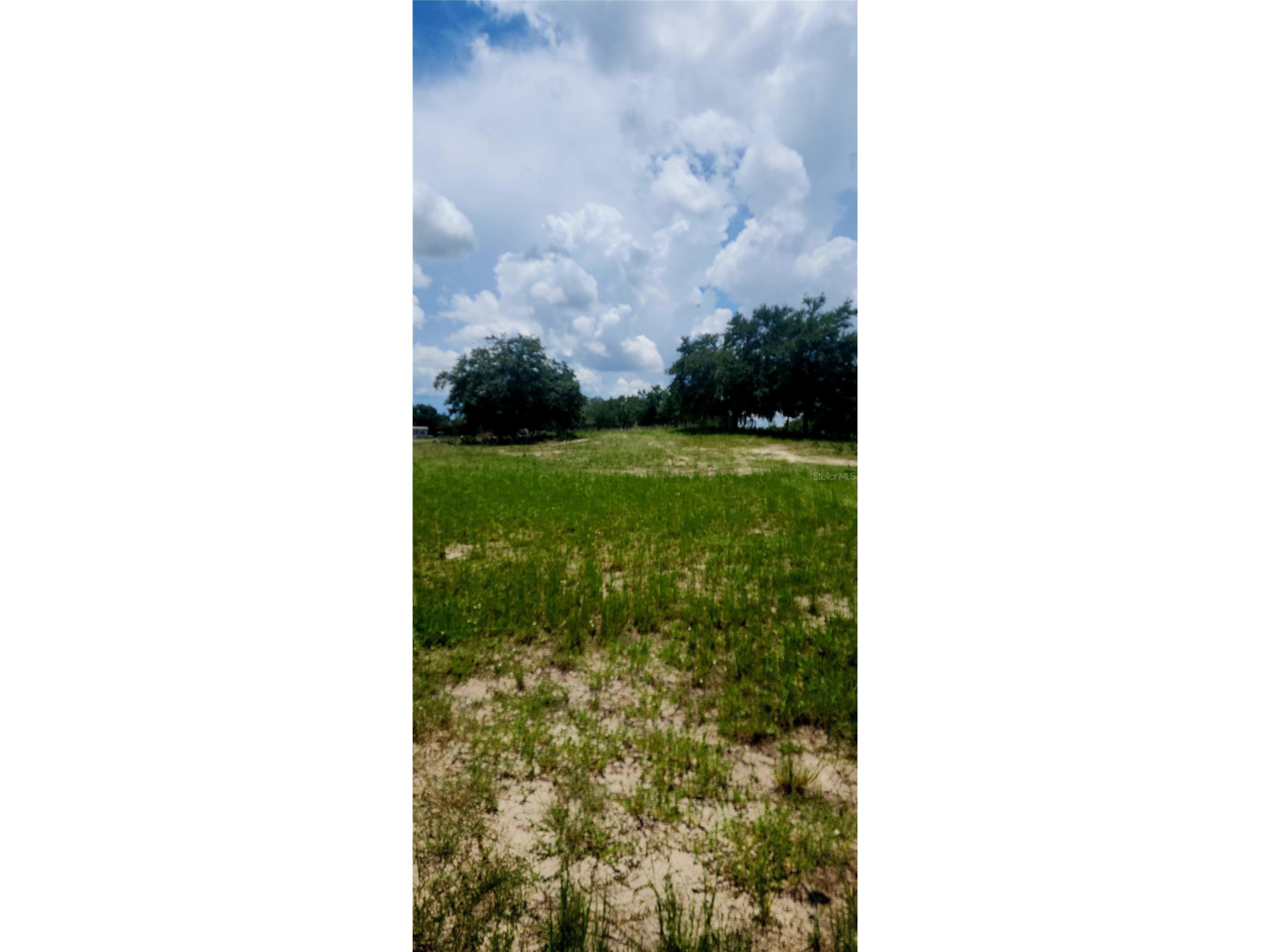 562 Libby Road Babson Park FL 33827 P4939223 image25