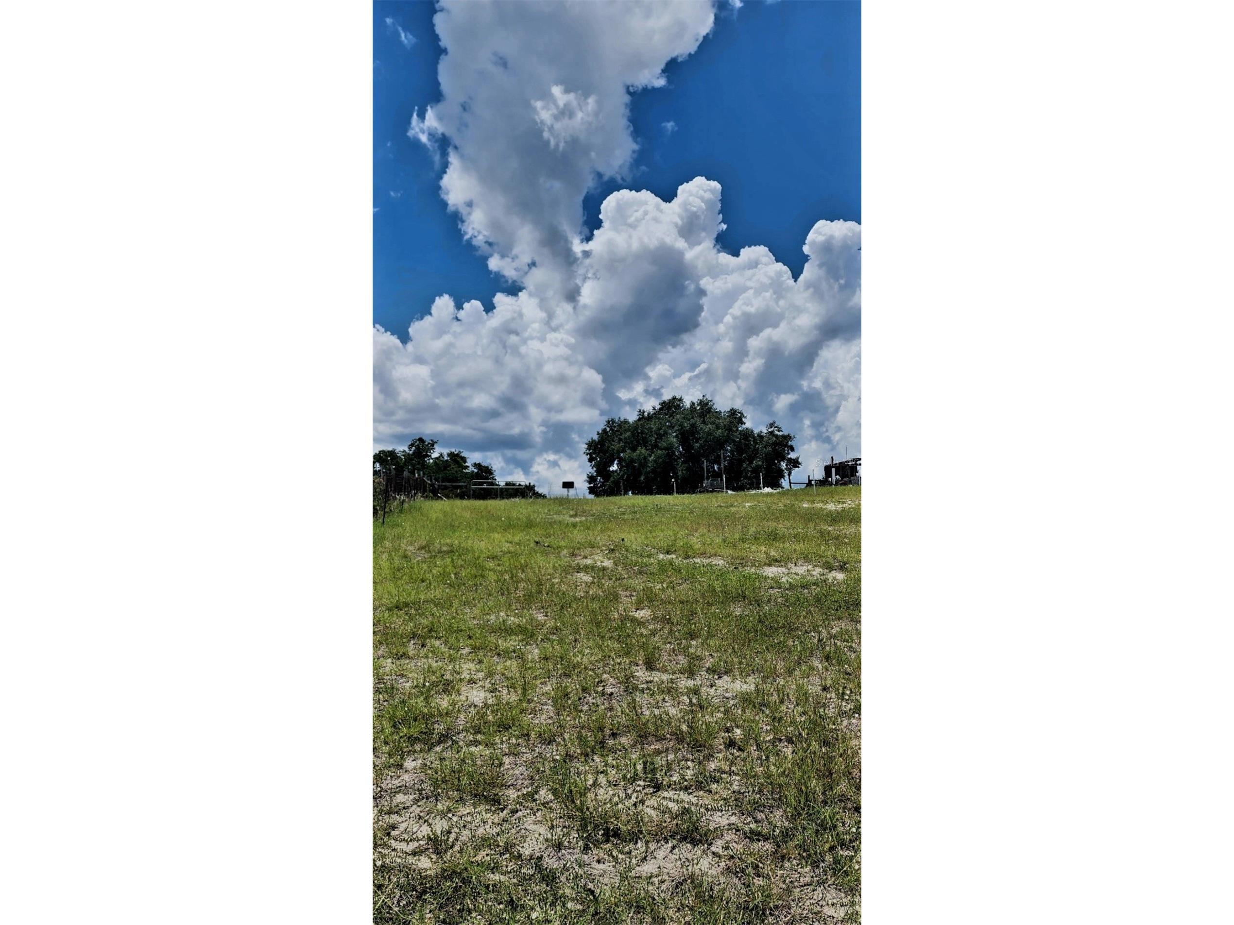 562 Libby Road Babson Park FL 33827 P4939223 image29