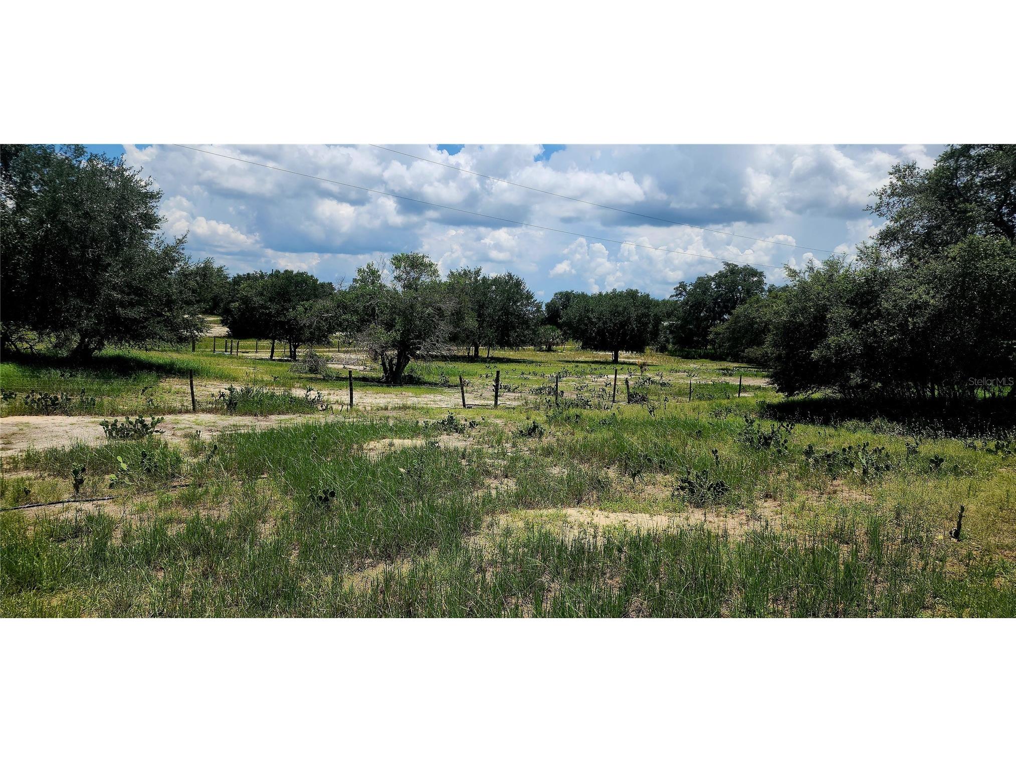 562 Libby Road Babson Park FL 33827 P4939223 image3