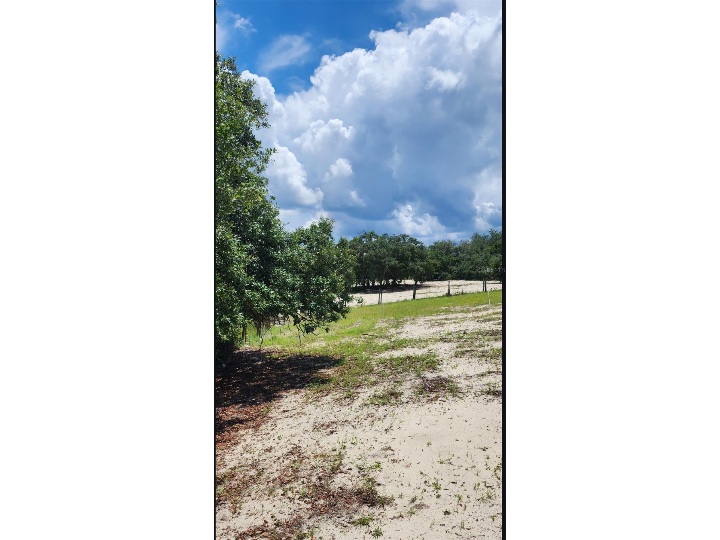 562 Libby Road Babson Park FL 33827 P4939223 image31