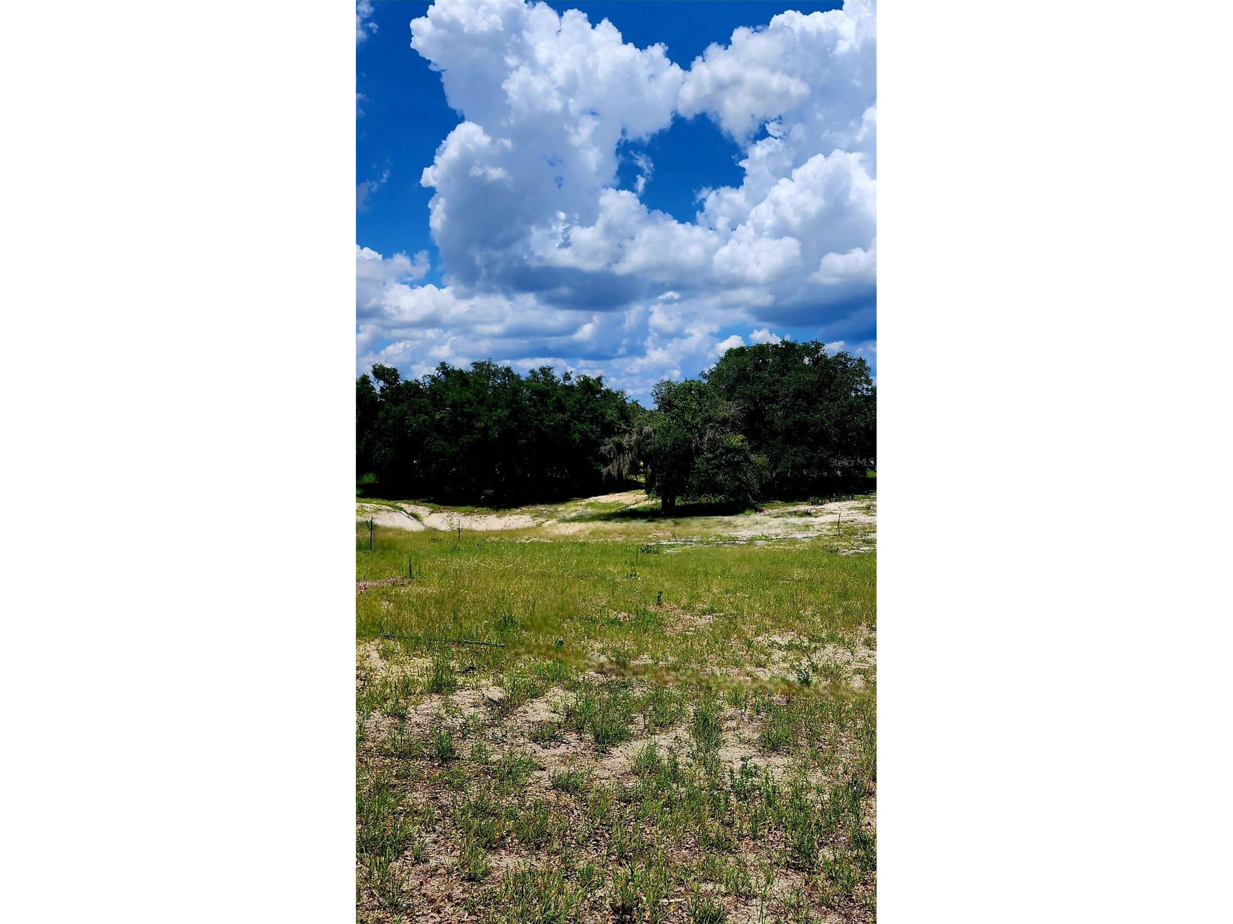 562 Libby Road Babson Park FL 33827 P4939223 image33