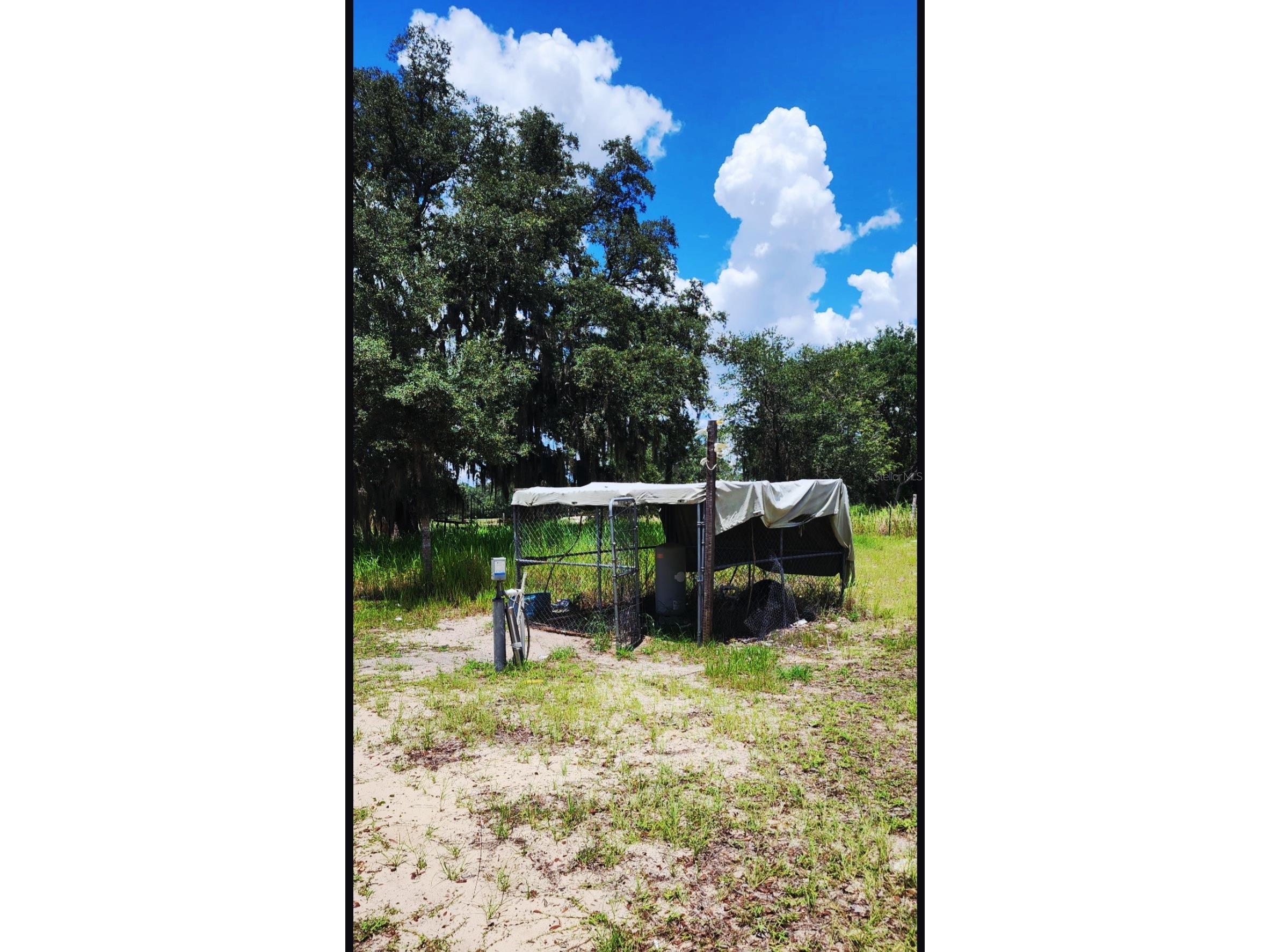 562 Libby Road Babson Park FL 33827 P4939223 image39