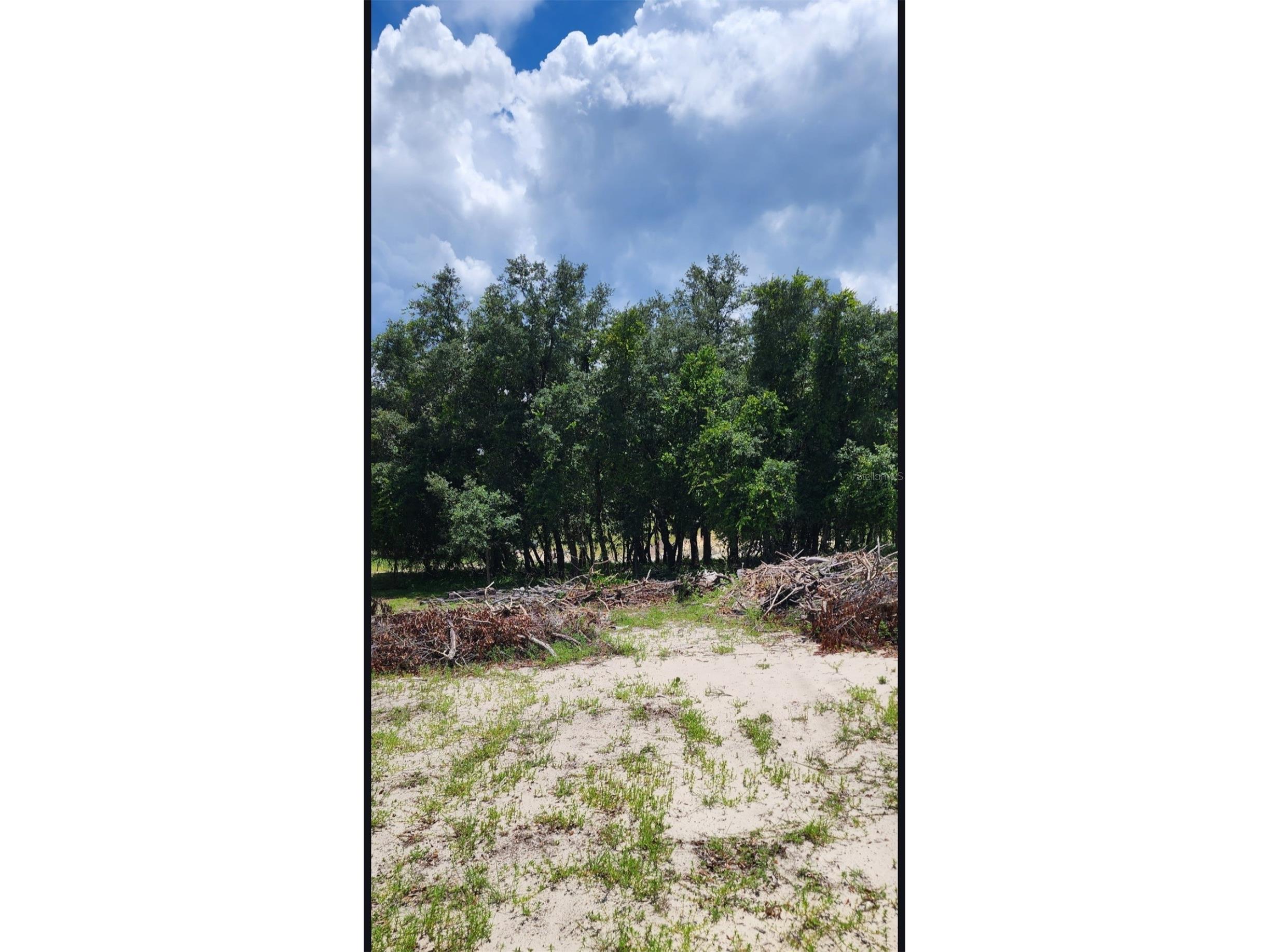 562 Libby Road Babson Park FL 33827 P4939223 image40