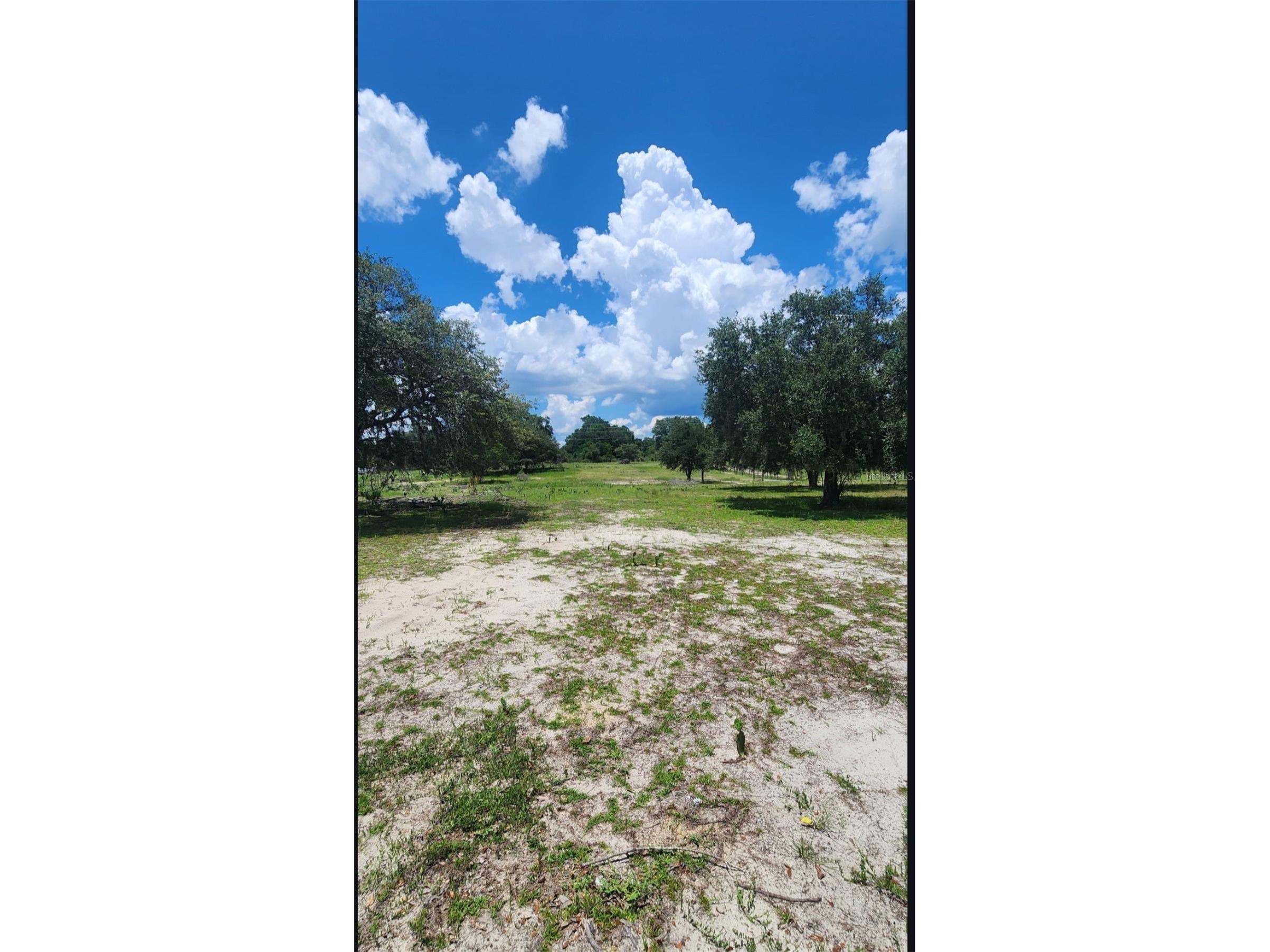 562 Libby Road Babson Park FL 33827 P4939223 image41