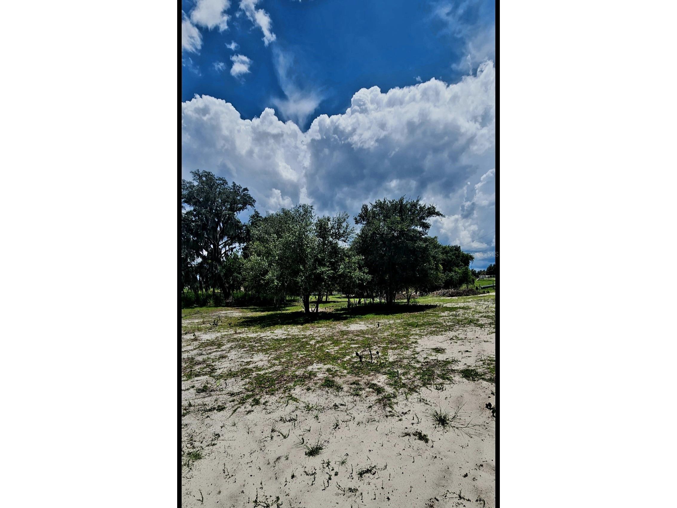 562 Libby Road Babson Park FL 33827 P4939223 image43