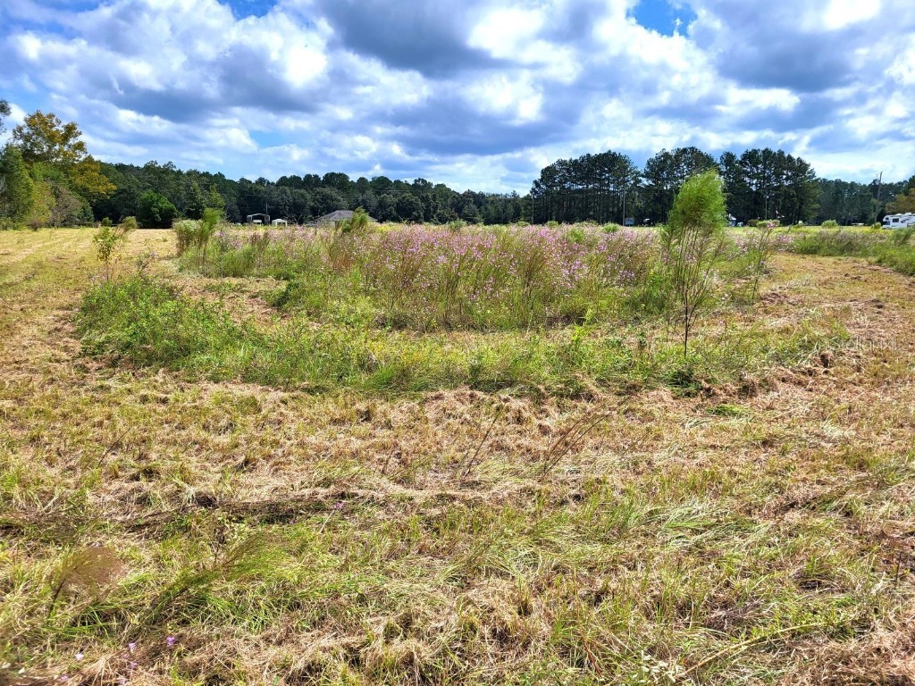 562 NW Bison Court White Springs FL 32096 GC516619 image1