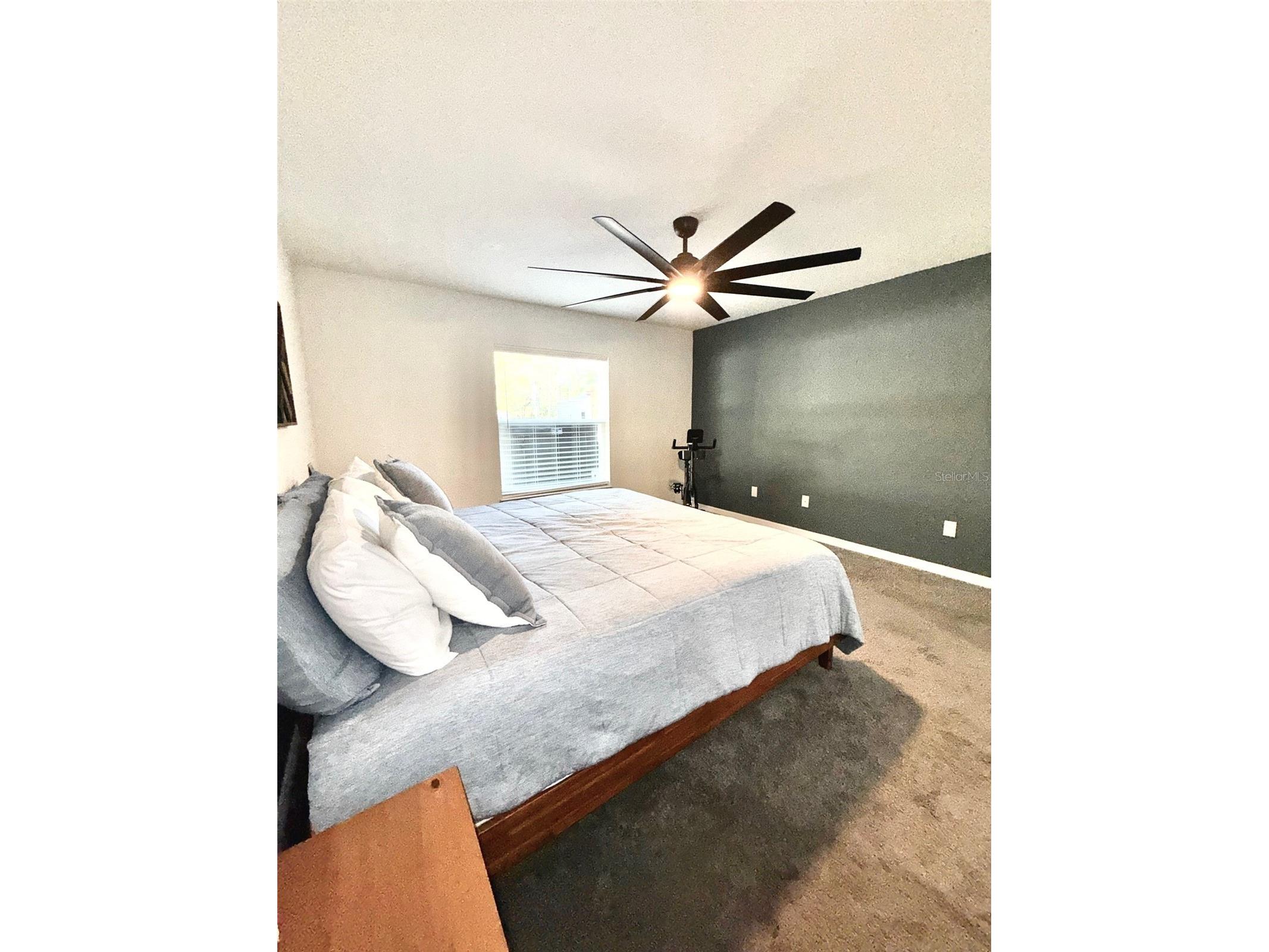5620 SW 172nd Loop Ocala FL 34473 OM722906 image25