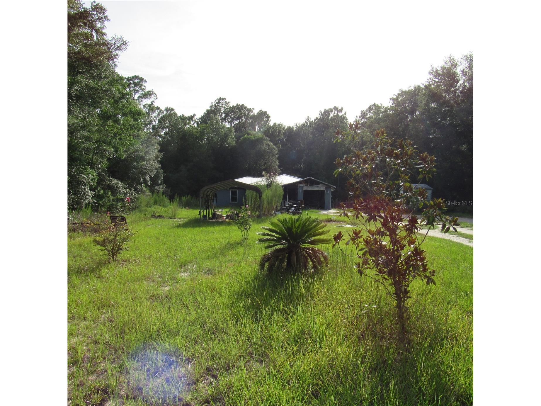 5620 SW 181st Court Dunnellon FL 34432 G5115010 image39