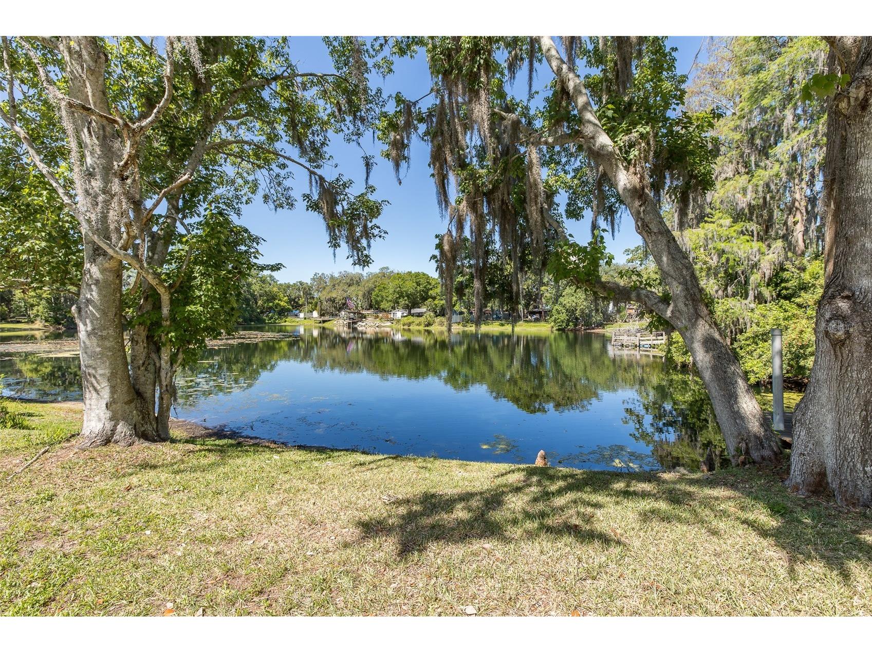 5621 Antelope Lane New Port Richey FL 34653 W7885002 image10