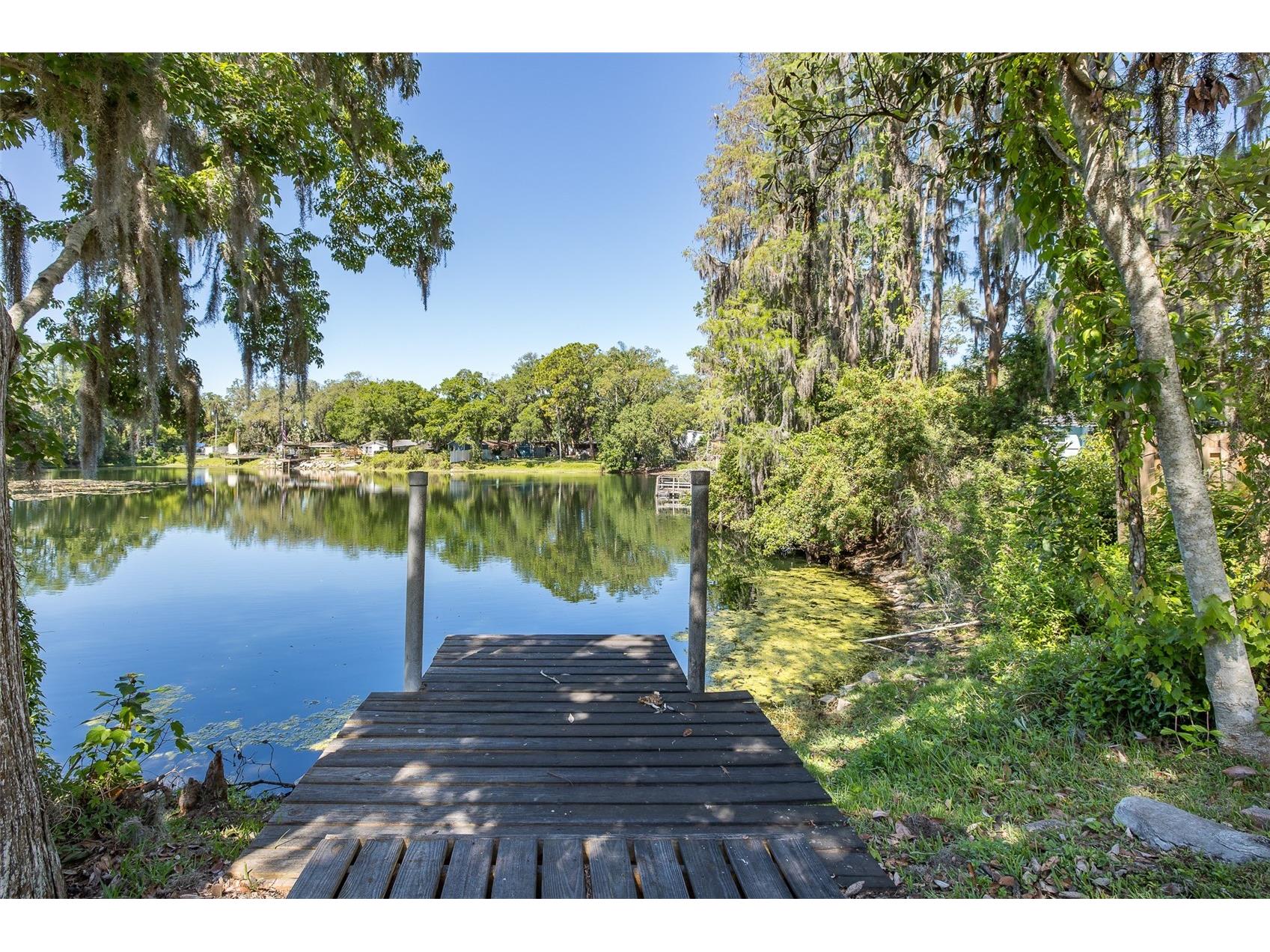 5621 Antelope Lane New Port Richey FL 34653 W7885002 image11