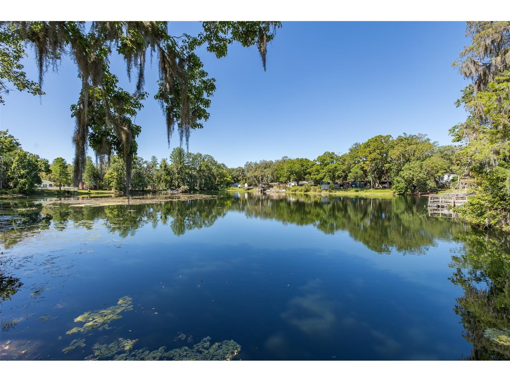 5621 Antelope Lane New Port Richey FL 34653 W7885002 image12