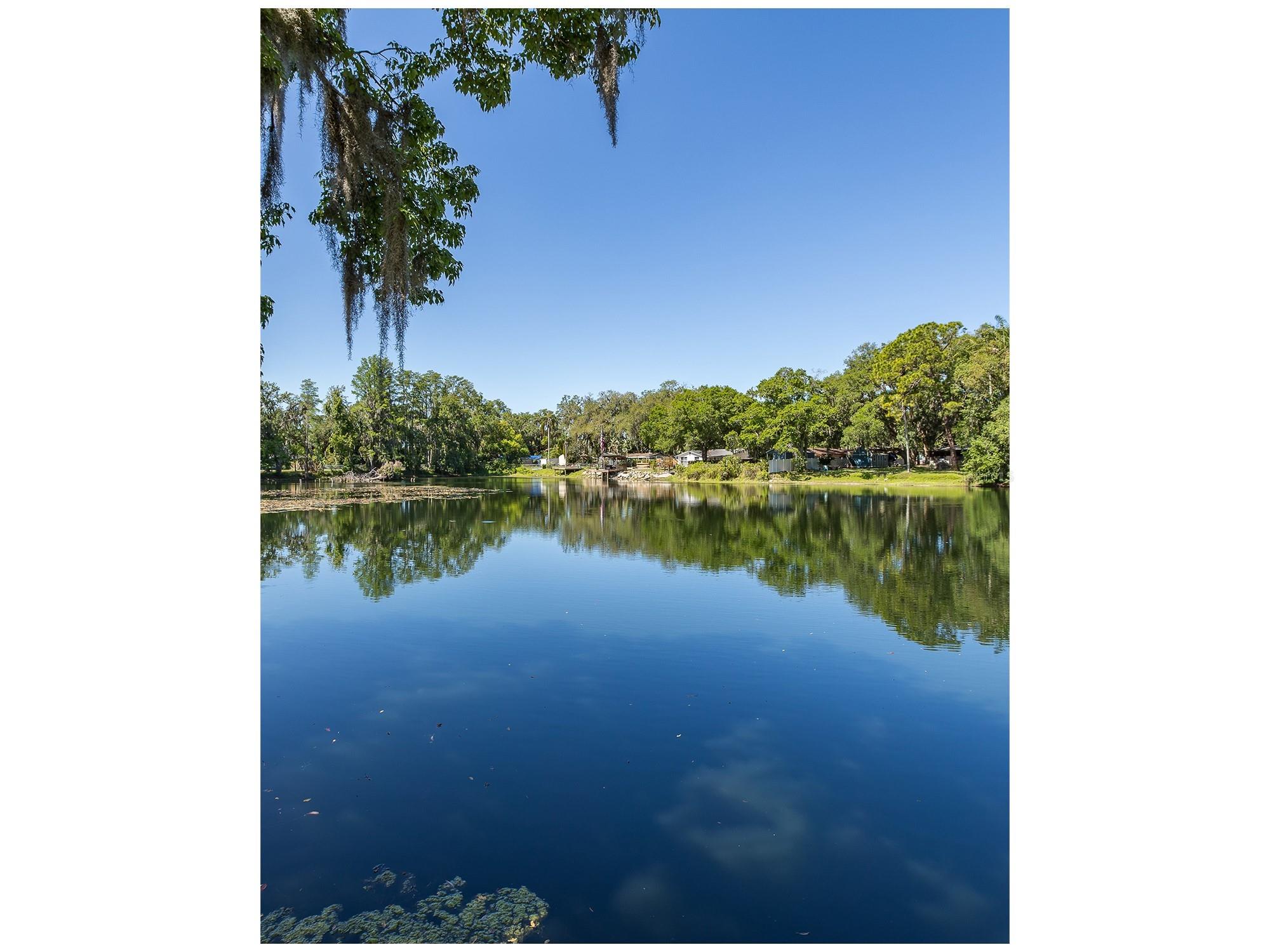 5621 Antelope Lane New Port Richey FL 34653 W7885002 image13