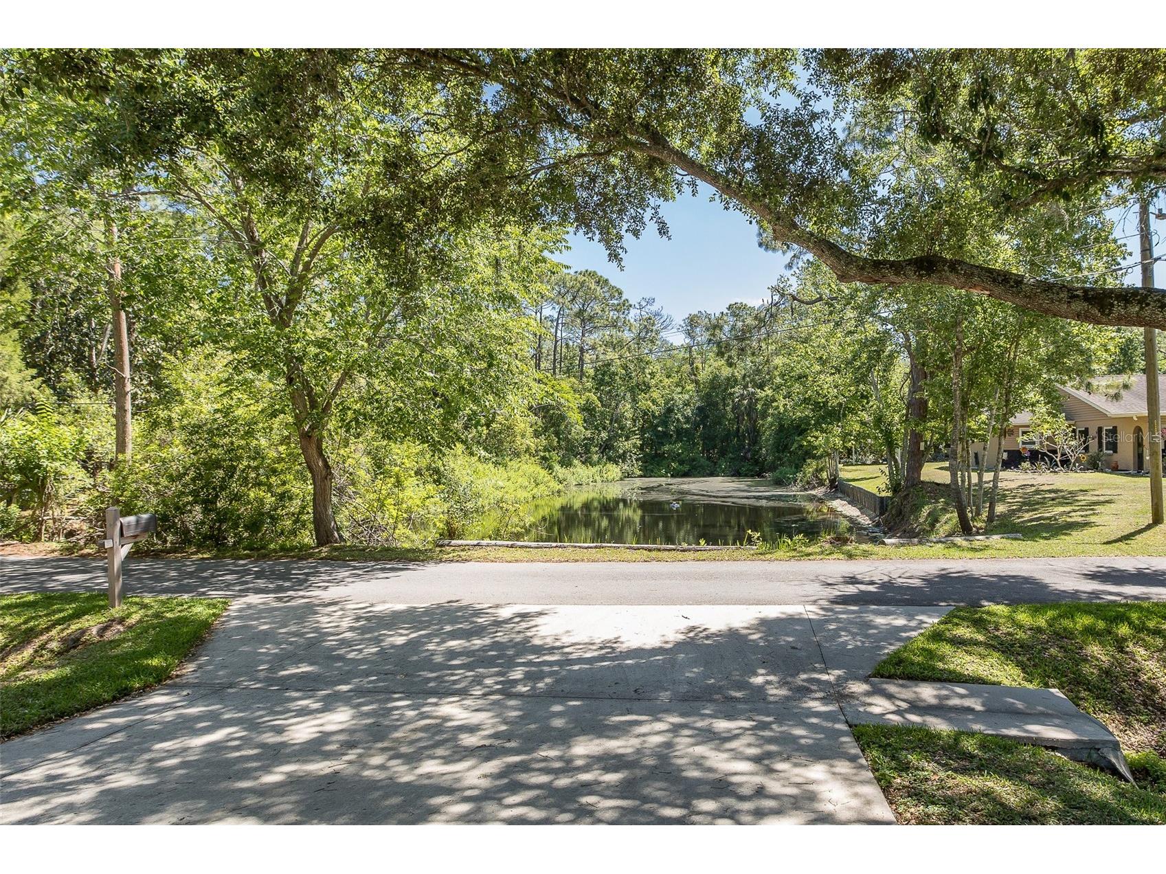 5621 Antelope Lane New Port Richey FL 34653 W7885002 image58