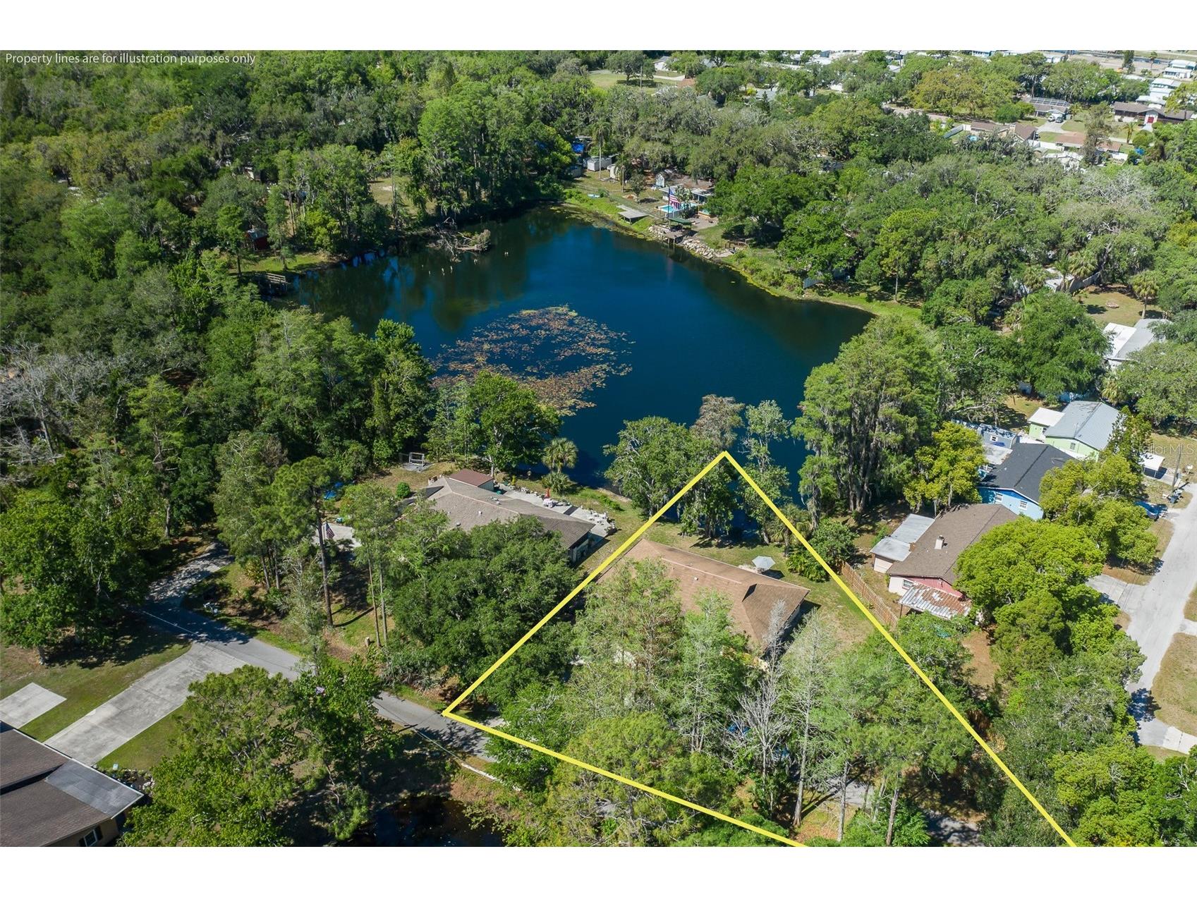 5621 Antelope Lane New Port Richey FL 34653 W7885002 image9