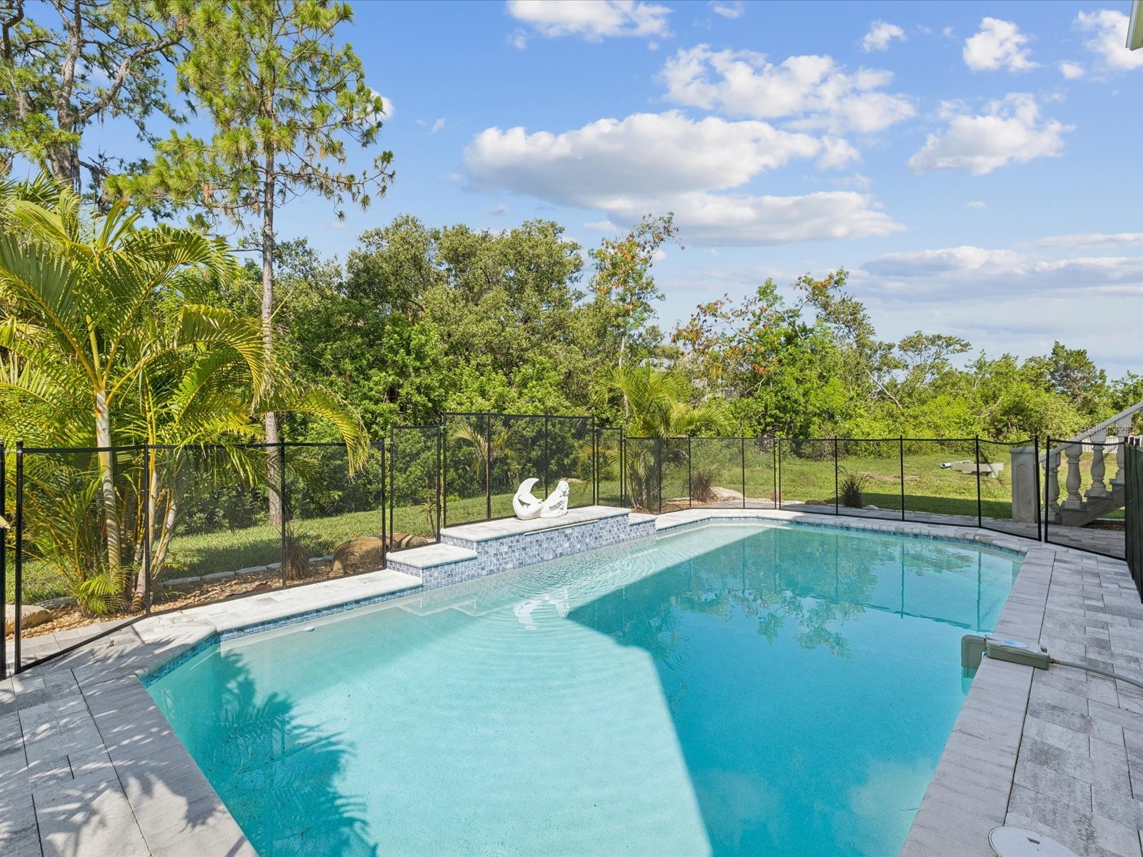 5621 Egrets Place New Port Richey FL 34652 W7886688 image4