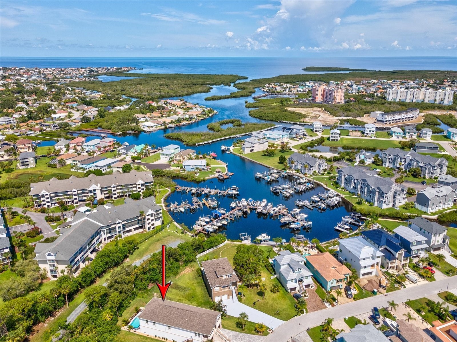 5621 Egrets Place New Port Richey FL 34652 W7886688 image49