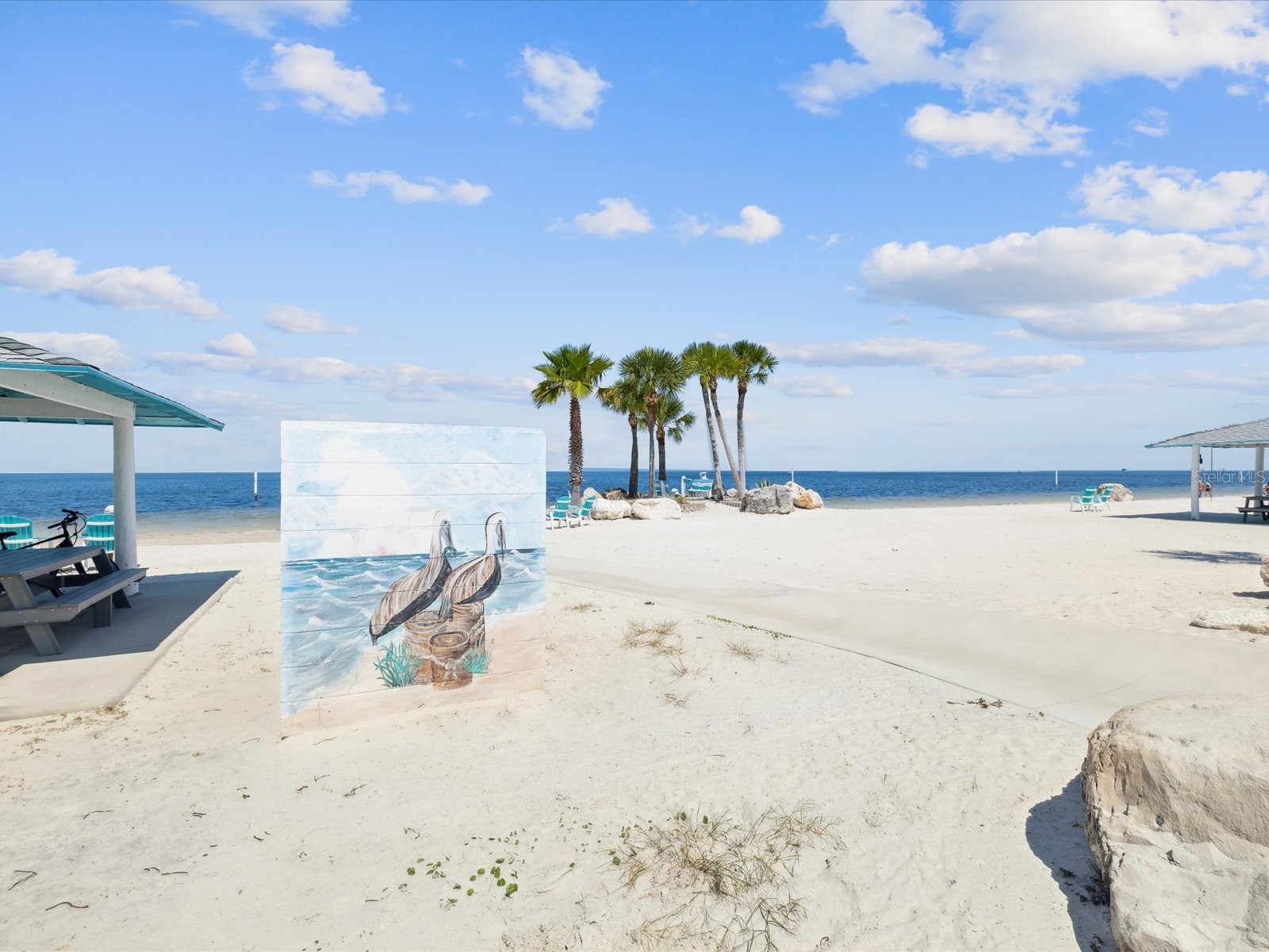 5621 Egrets Place New Port Richey FL 34652 W7886688 image61