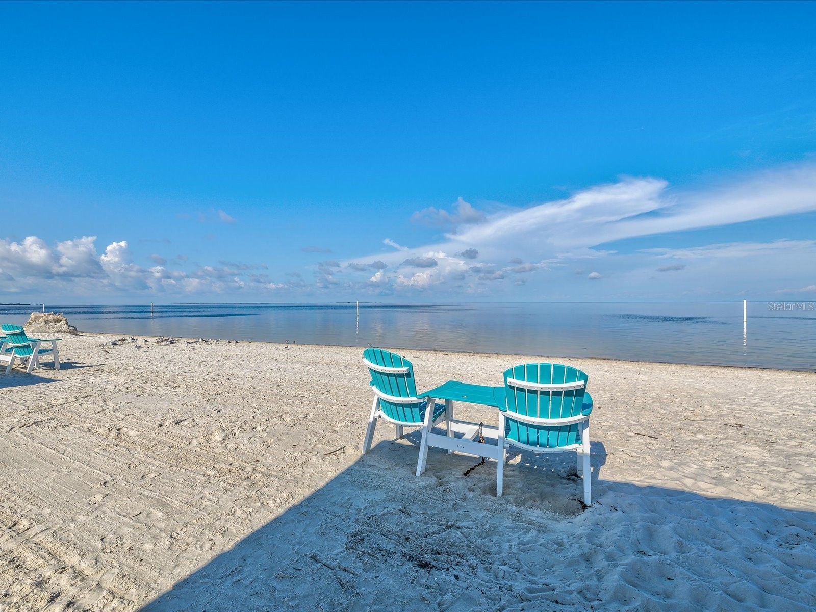 5621 Egrets Place New Port Richey FL 34652 W7886688 image66