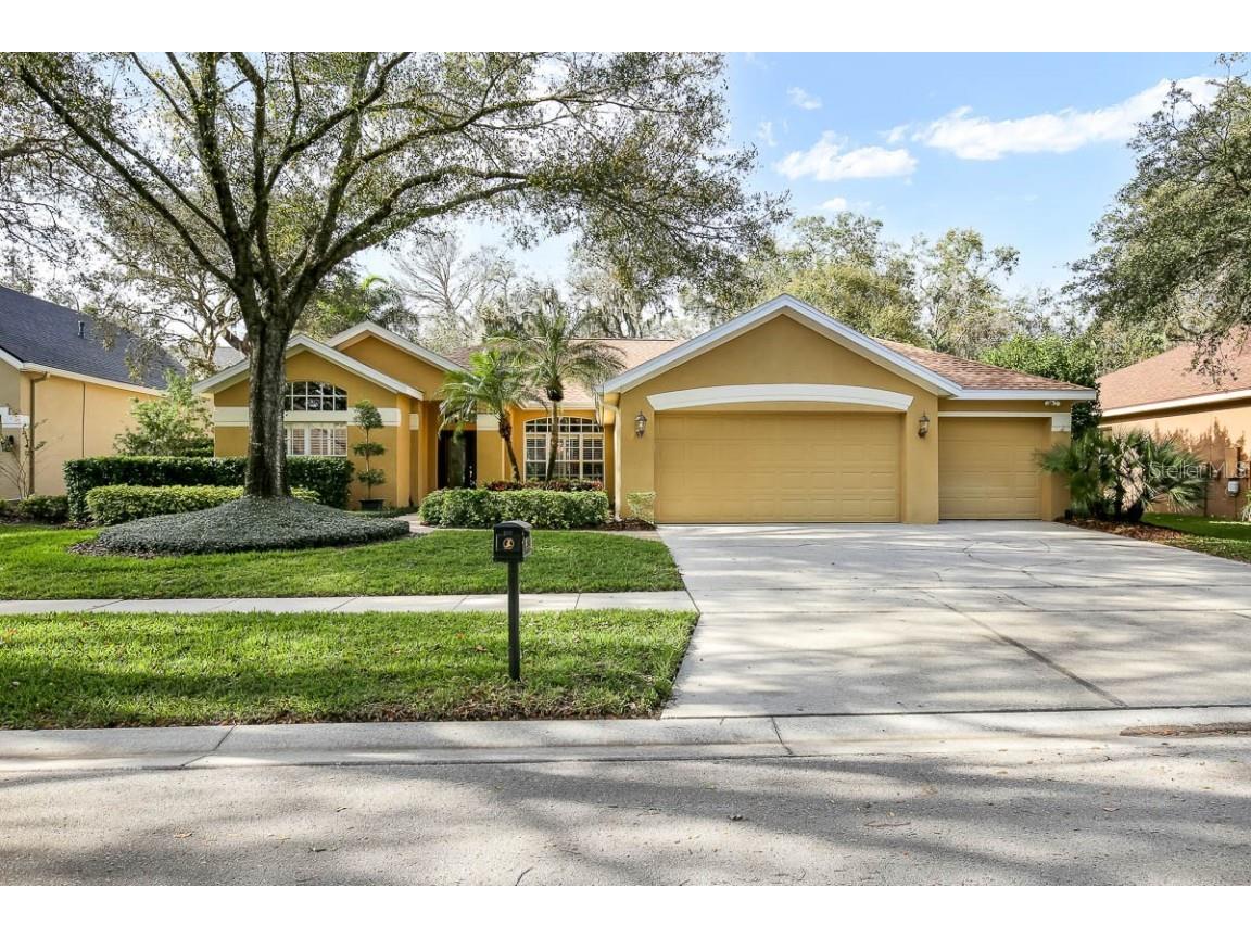 5621 Osprey Park Place Lithia FL 33547 T3497508 image1