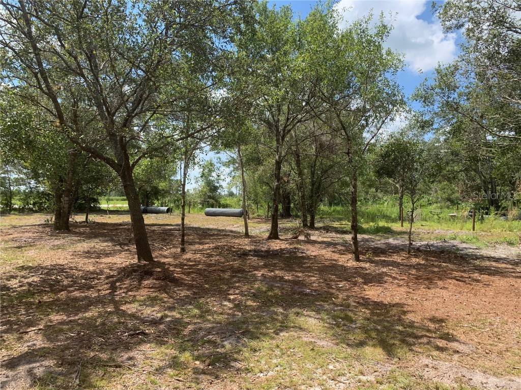 5621 SW Highway 17 Arcadia FL 34266 C7479111 image1