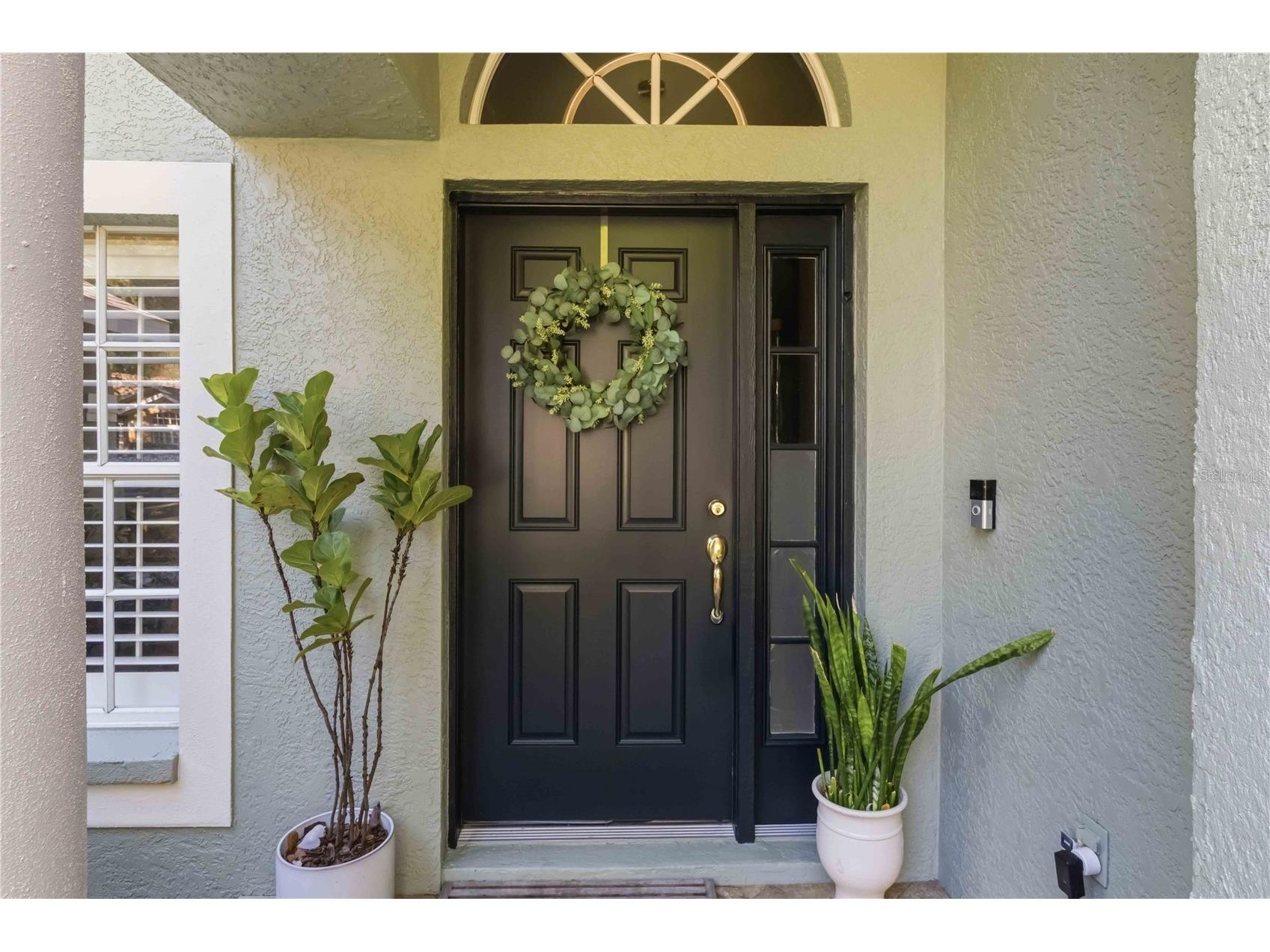 5622 Osprey Park Place Lithia FL 33547 TB8486338 image2