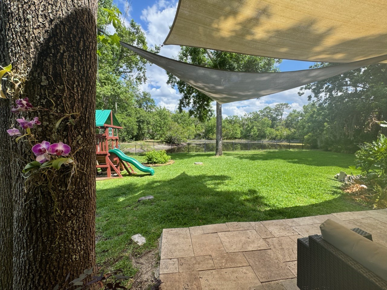 5622 Osprey Park Place Lithia FL 33547 TB8486338 image47