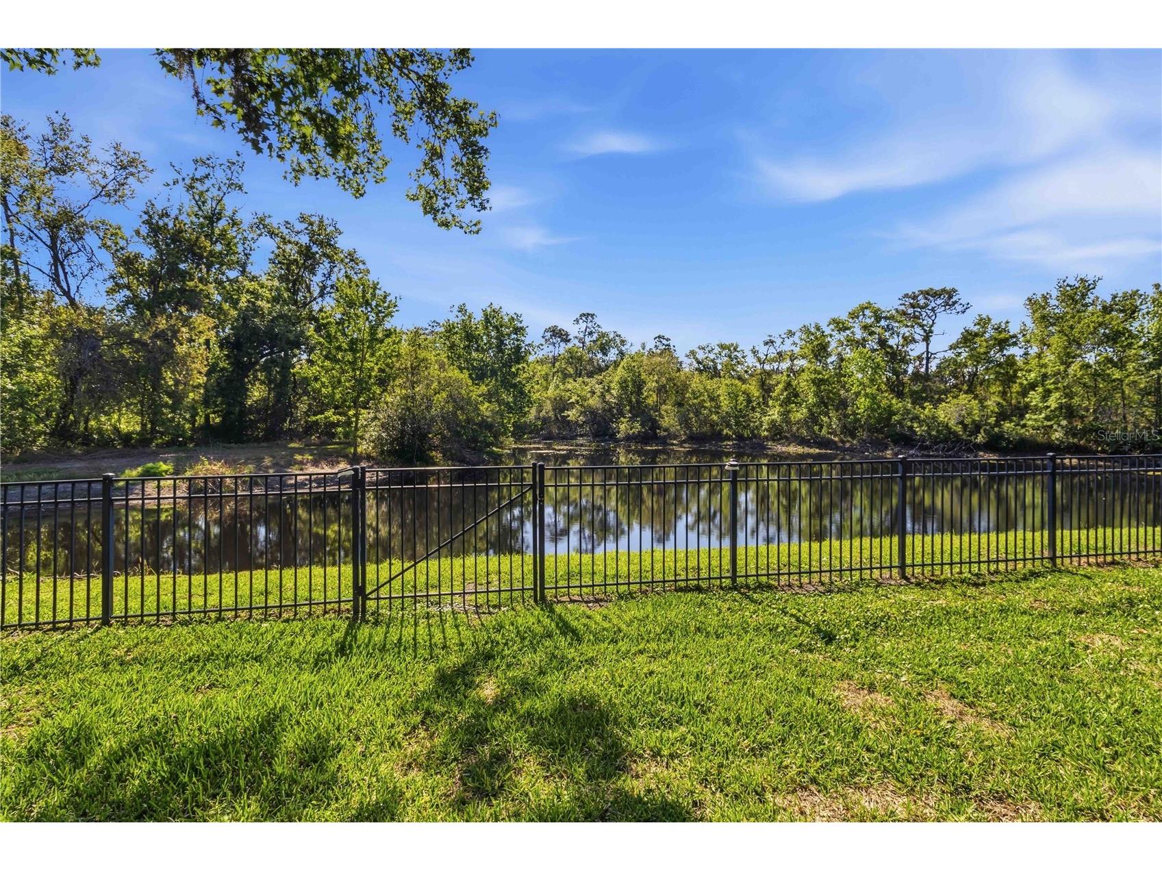 5622 Osprey Park Place Lithia FL 33547 TB8486338 image55