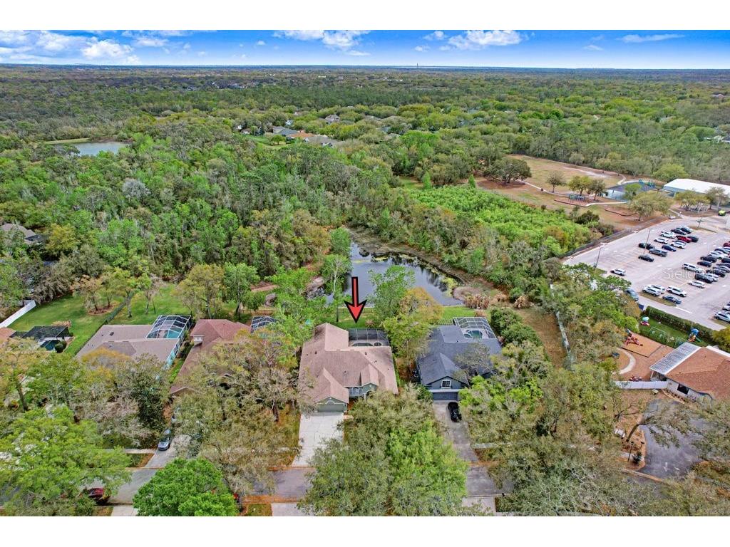 5622 Osprey Park Place Lithia FL 33547 TB8486338 image64