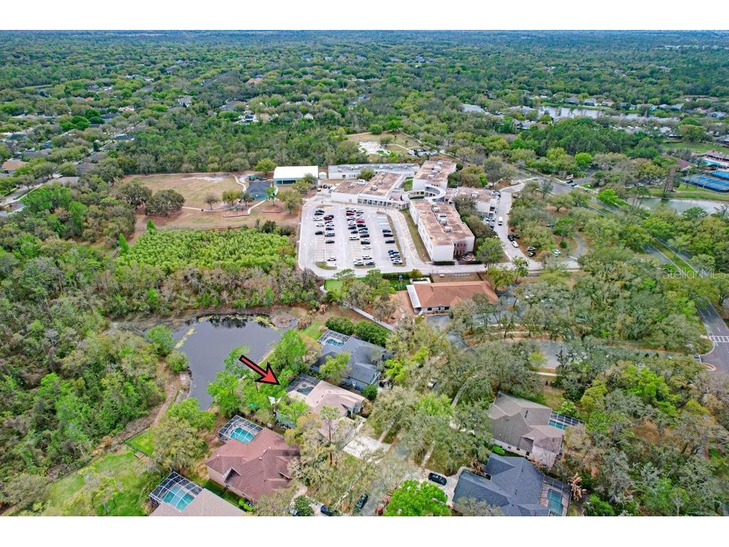 5622 Osprey Park Place Lithia FL 33547 TB8486338 image65