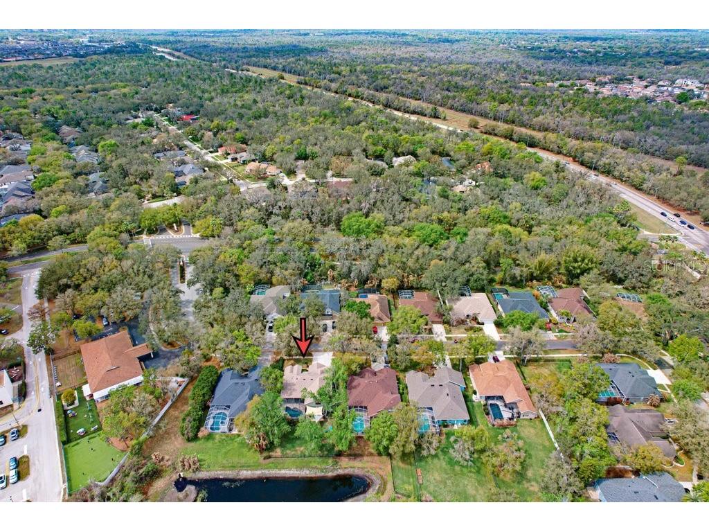 5622 Osprey Park Place Lithia FL 33547 TB8486338 image66