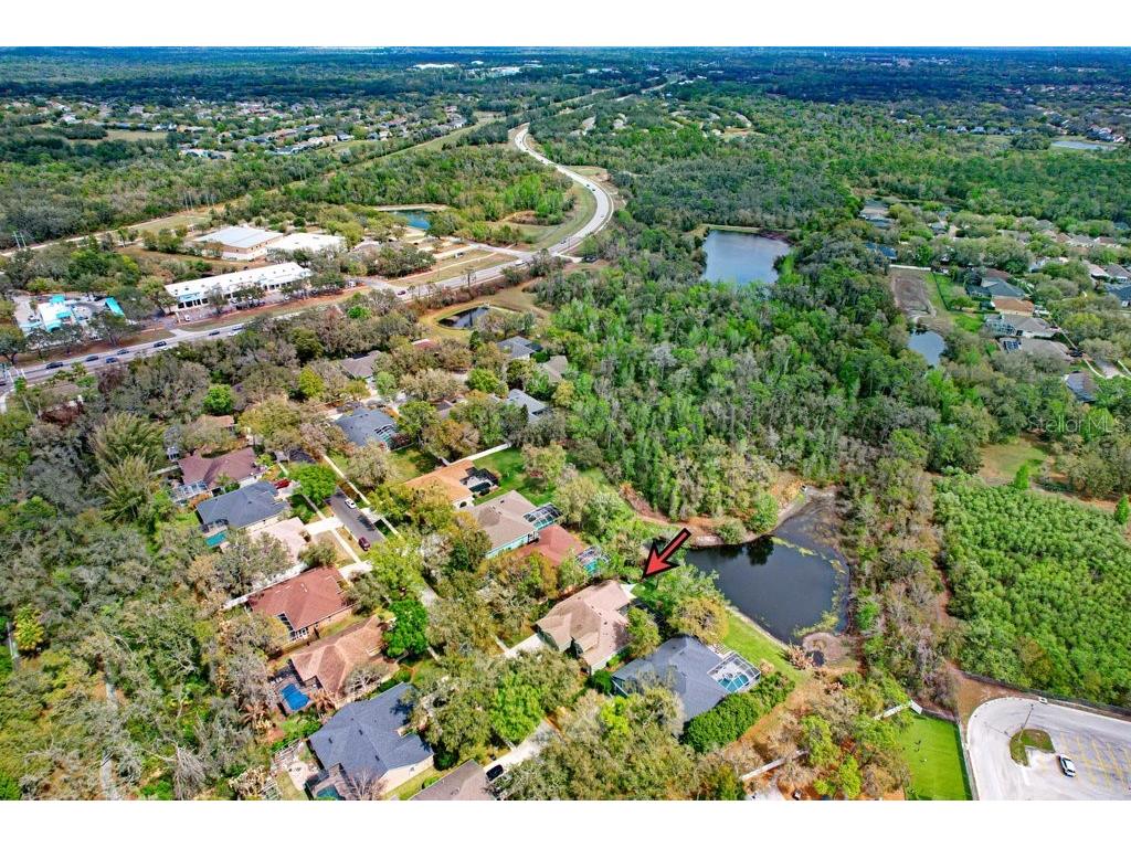 5622 Osprey Park Place Lithia FL 33547 TB8486338 image68