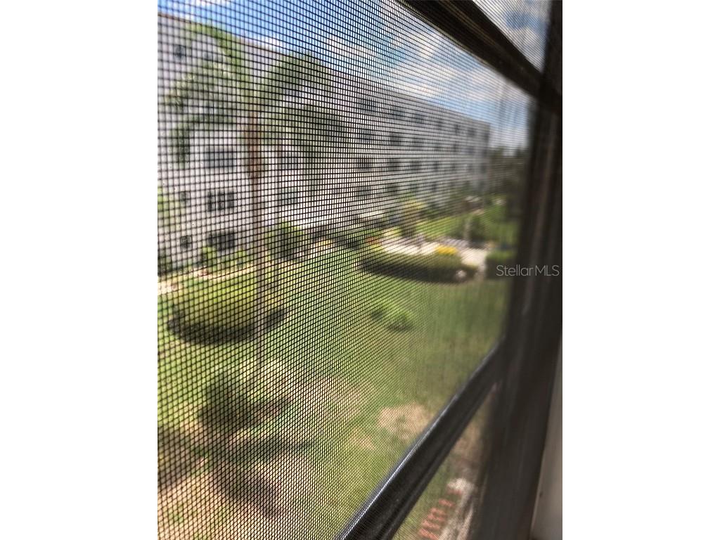 5623 80th Street N #314 Saint Petersburg FL 33709 TB8400847 image20