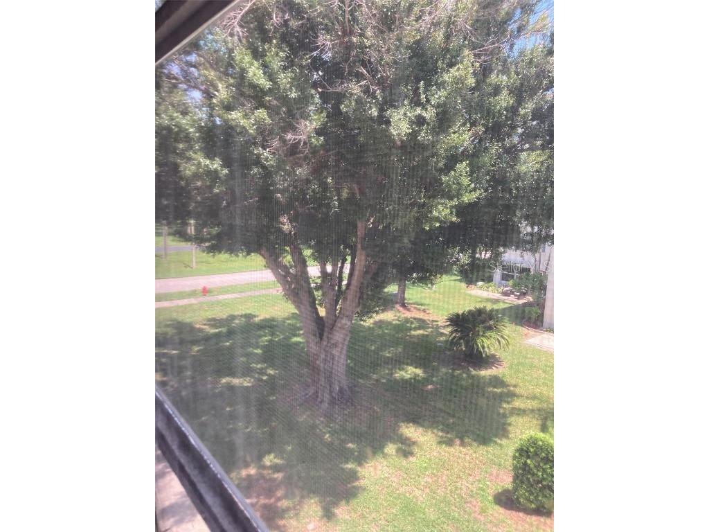 5623 80th Street N #314 Saint Petersburg FL 33709 TB8400847 image21