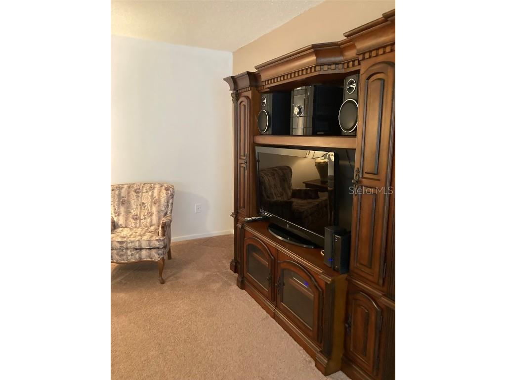 5623 80th Street N #314 Saint Petersburg FL 33709 TB8400847 image30