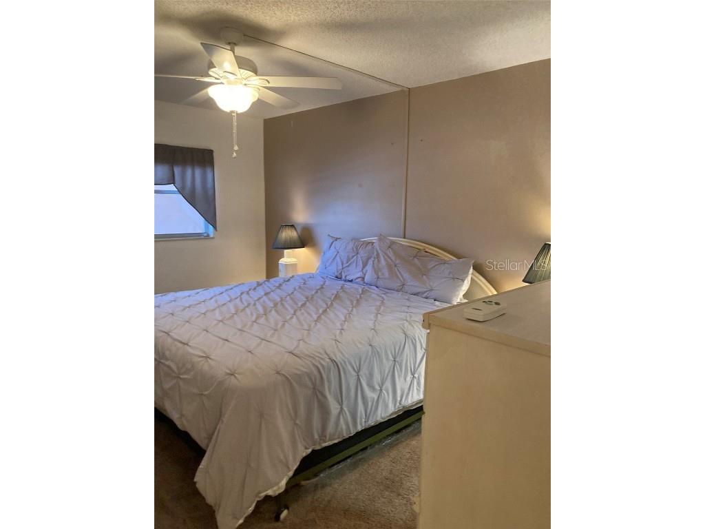 5623 80th Street N #314 Saint Petersburg FL 33709 TB8400847 image33