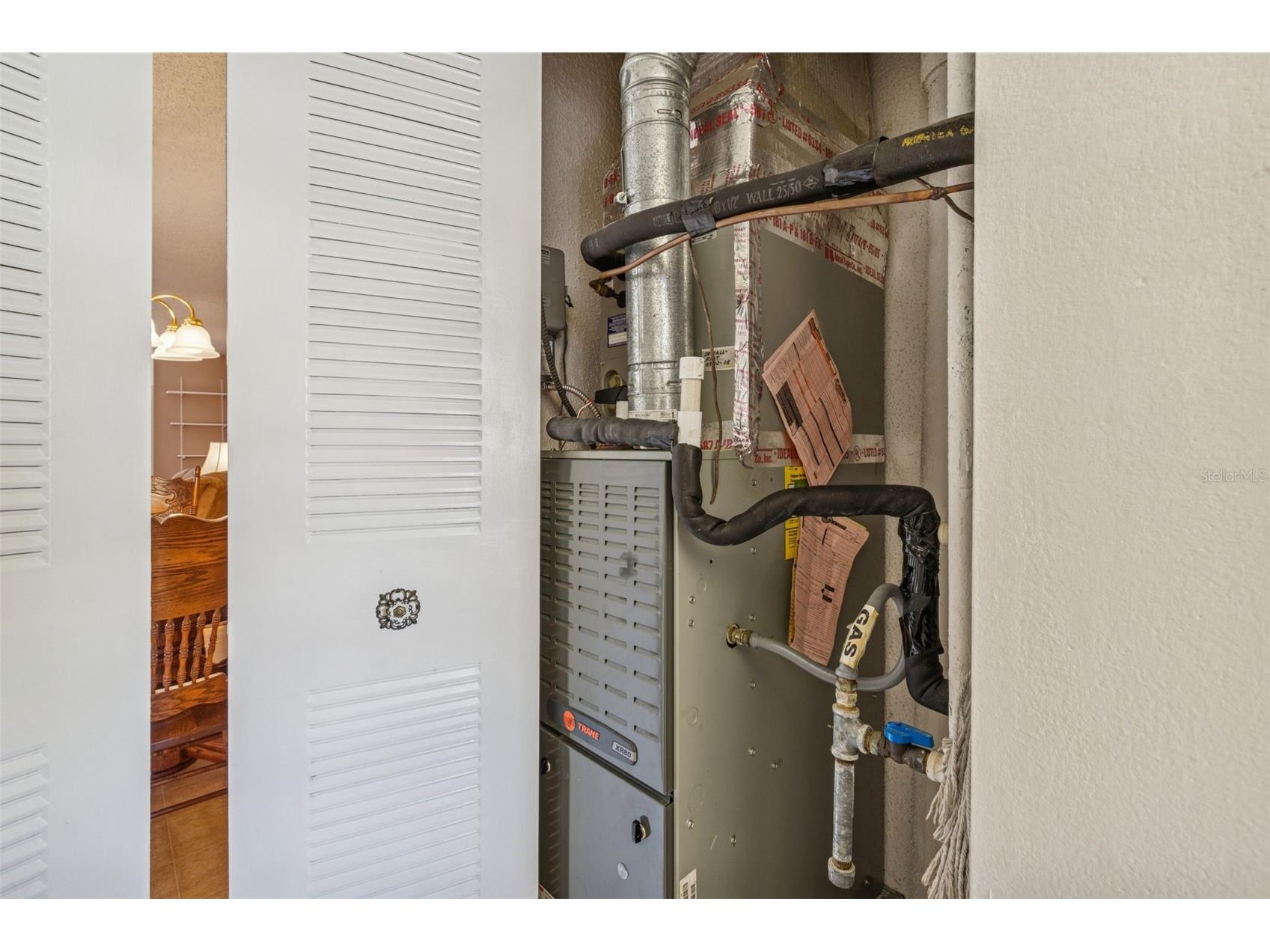 5623 80th Street N #314 Saint Petersburg FL 33709 TB8462934 image32