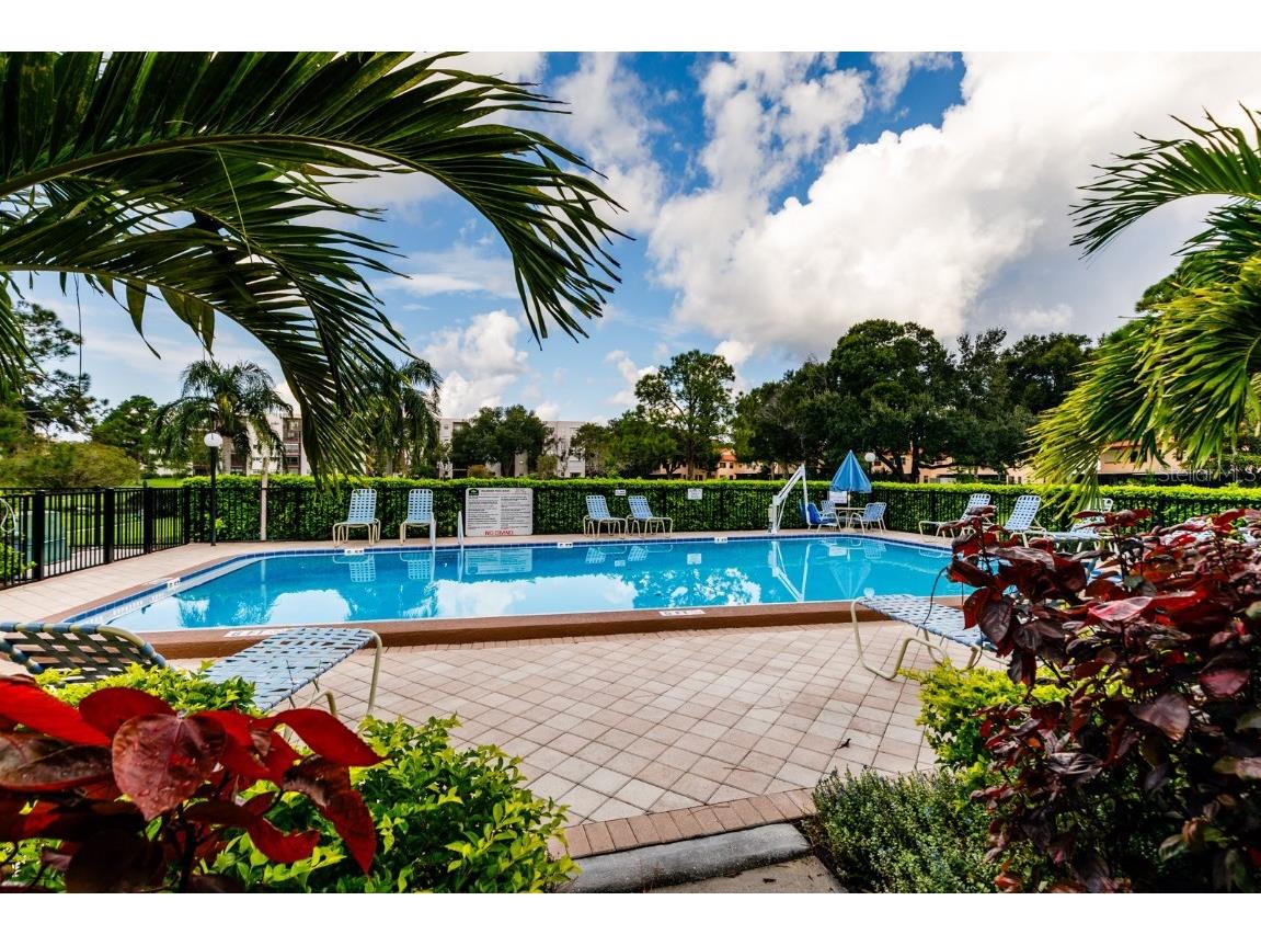 5623 80th Street N #504 Saint Petersburg FL 33709 TB8443730 image16