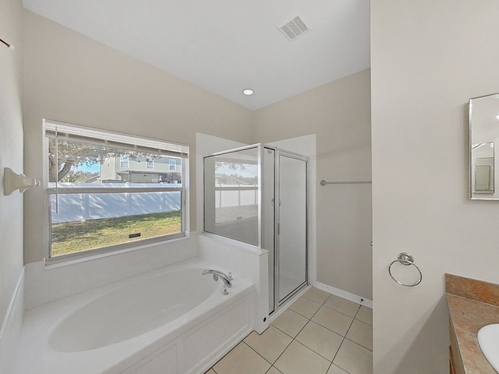 5623 Sheer Bliss Loop Land O Lakes FL 34639 TB8474698 image23