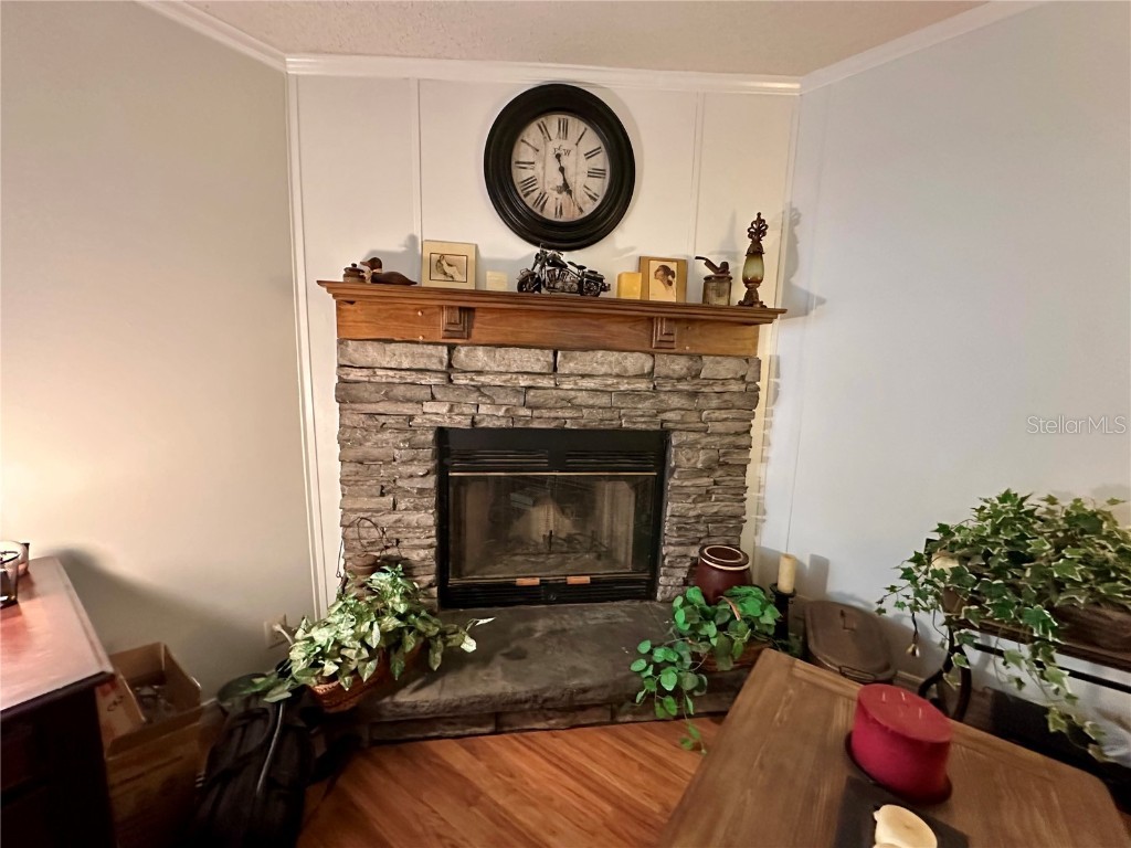 56233 Water Oak Road Astor FL 32102 R4910044 image20