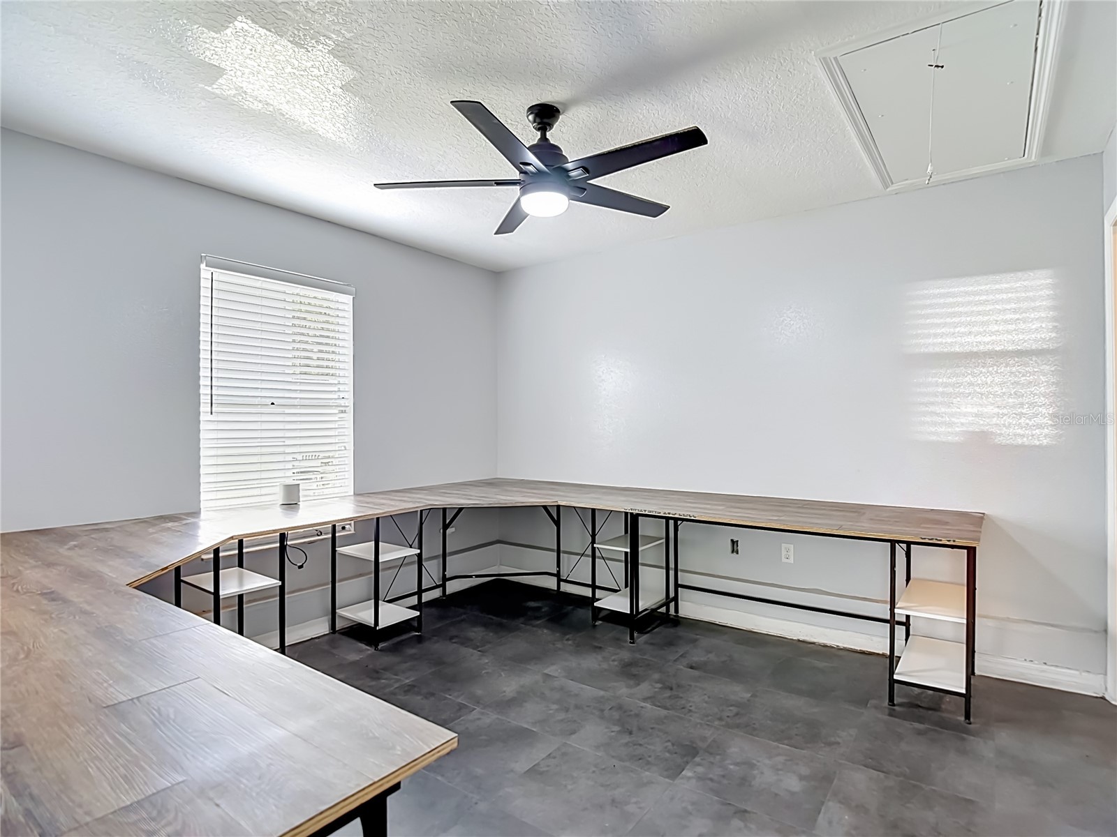 5625 23rd Street Zephyrhills FL 33542 TB8507135 image47