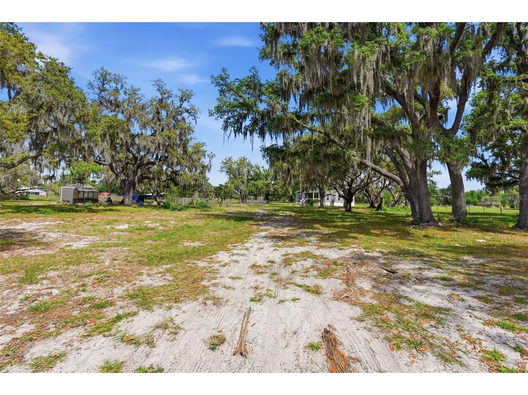5625 Hog Town Lane Myakka City FL 34251 A4689513 image44