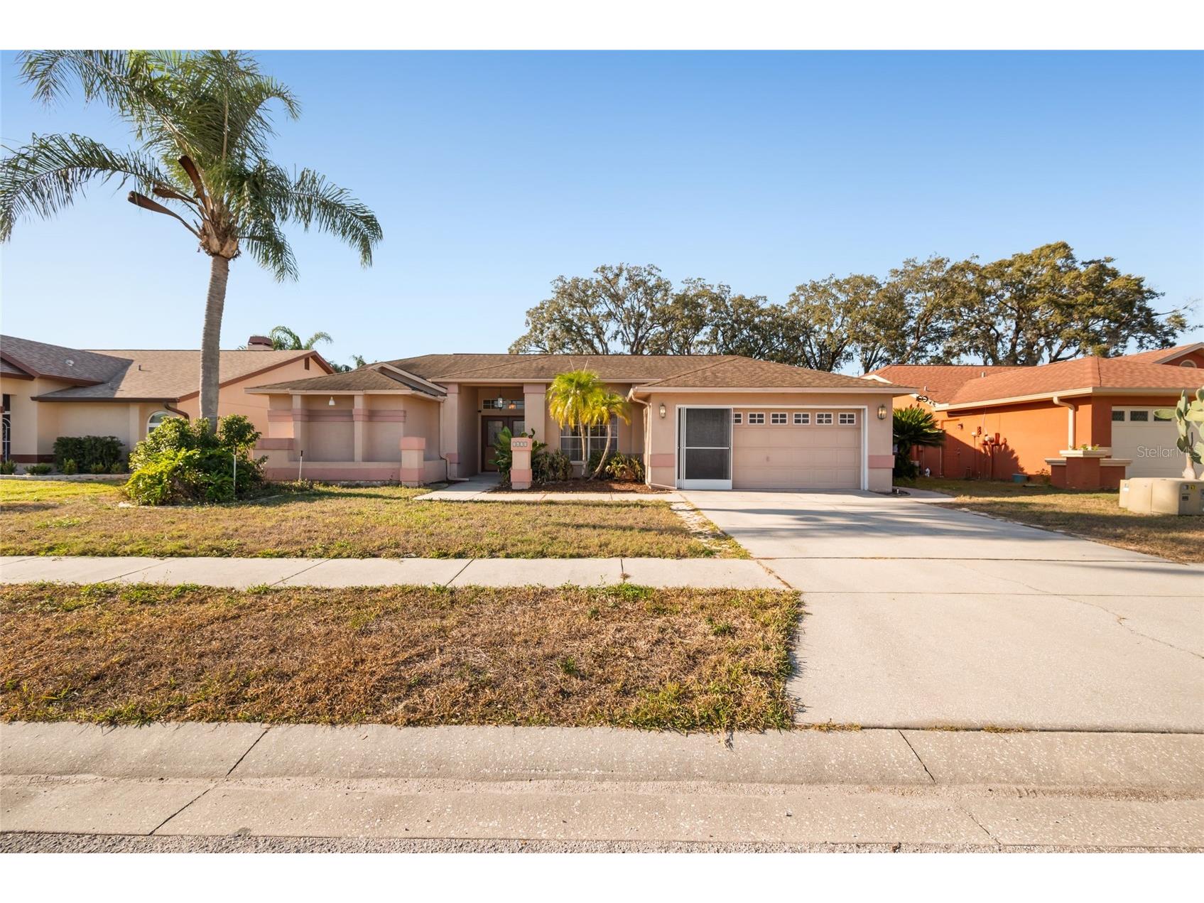 5625 Mossberg Drive Trinity FL 34655 TB8448819 image1